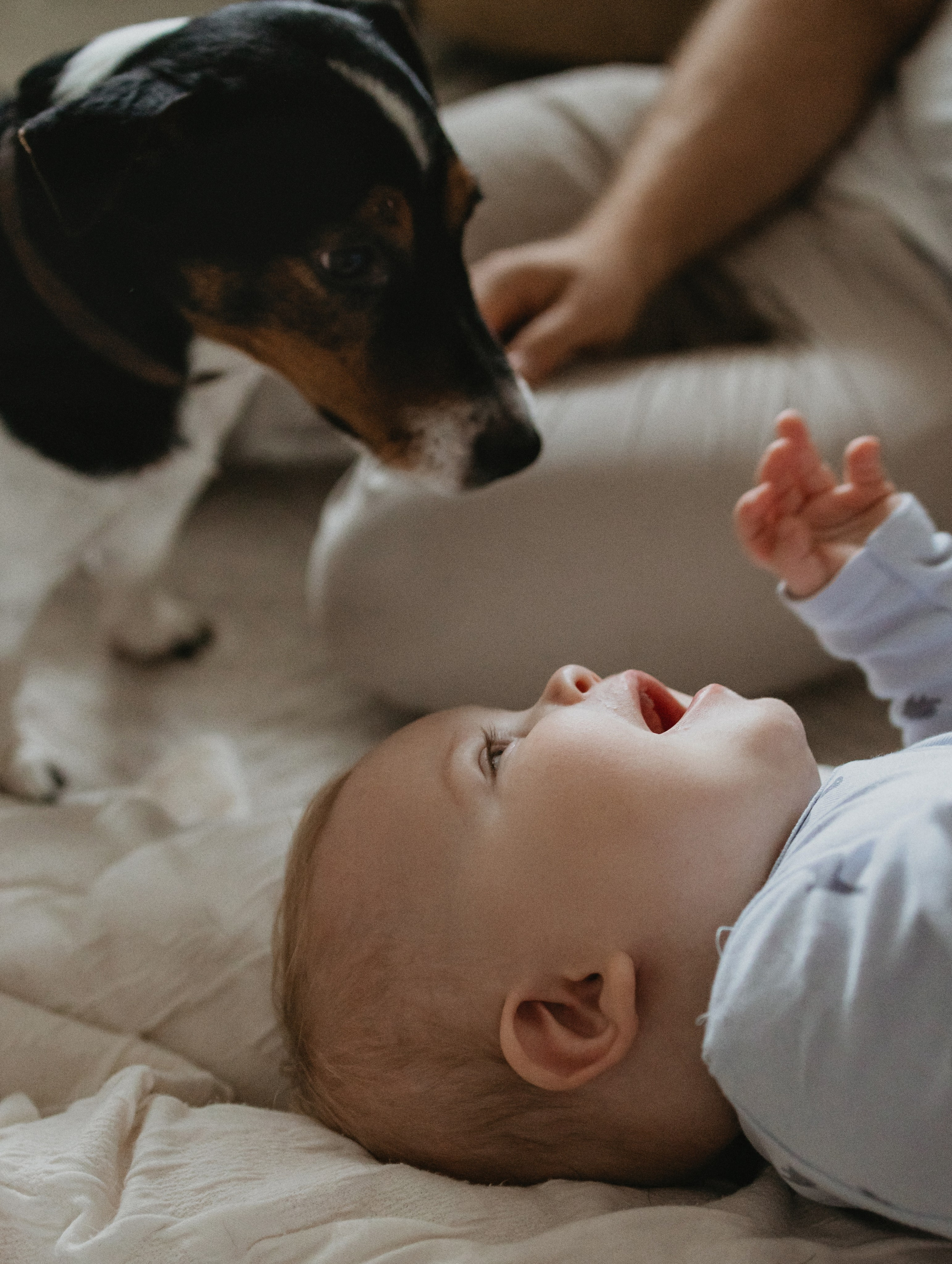 Таня успешно совмещает роль создателя эстетичных украшений, жены и мамы сыночка. Фотограф беременности и новорождённых в Набережных Челнах