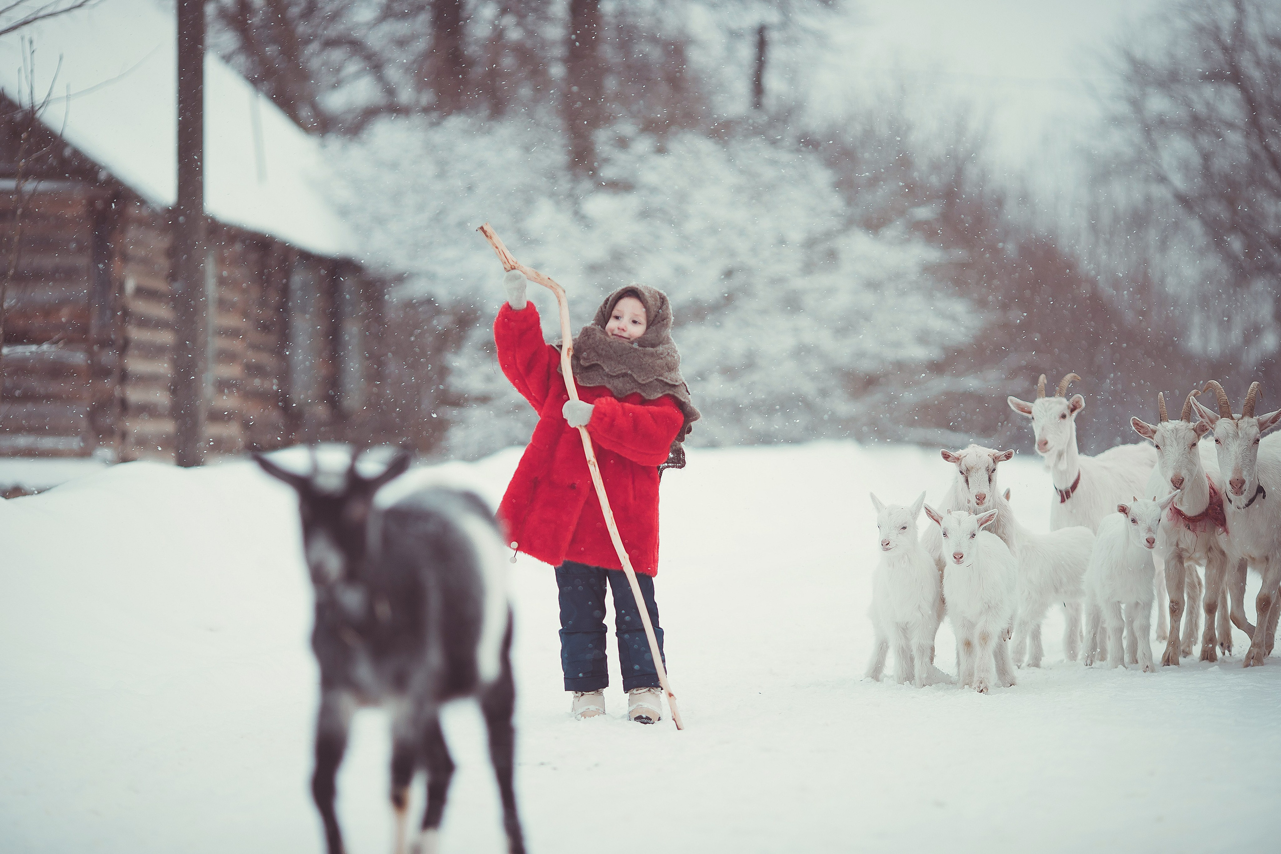 Дети. Фотограф Александр Калинин