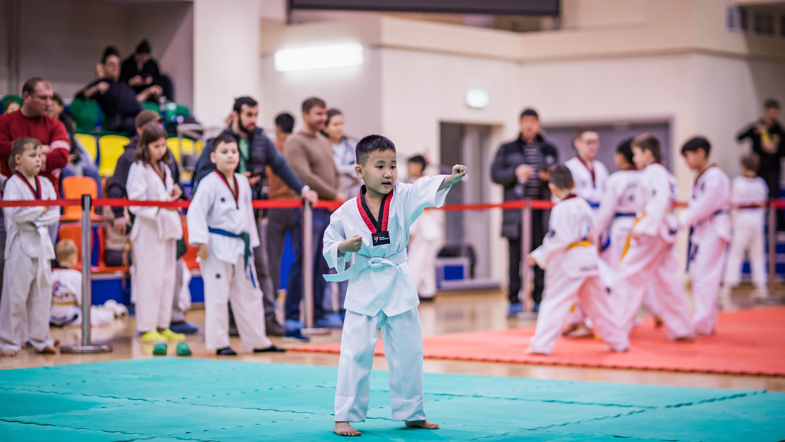 Турнир Федерации детского тхэквондо России по дисциплине ПХУМСЭ. Спортивный фотограф Максим Серегин