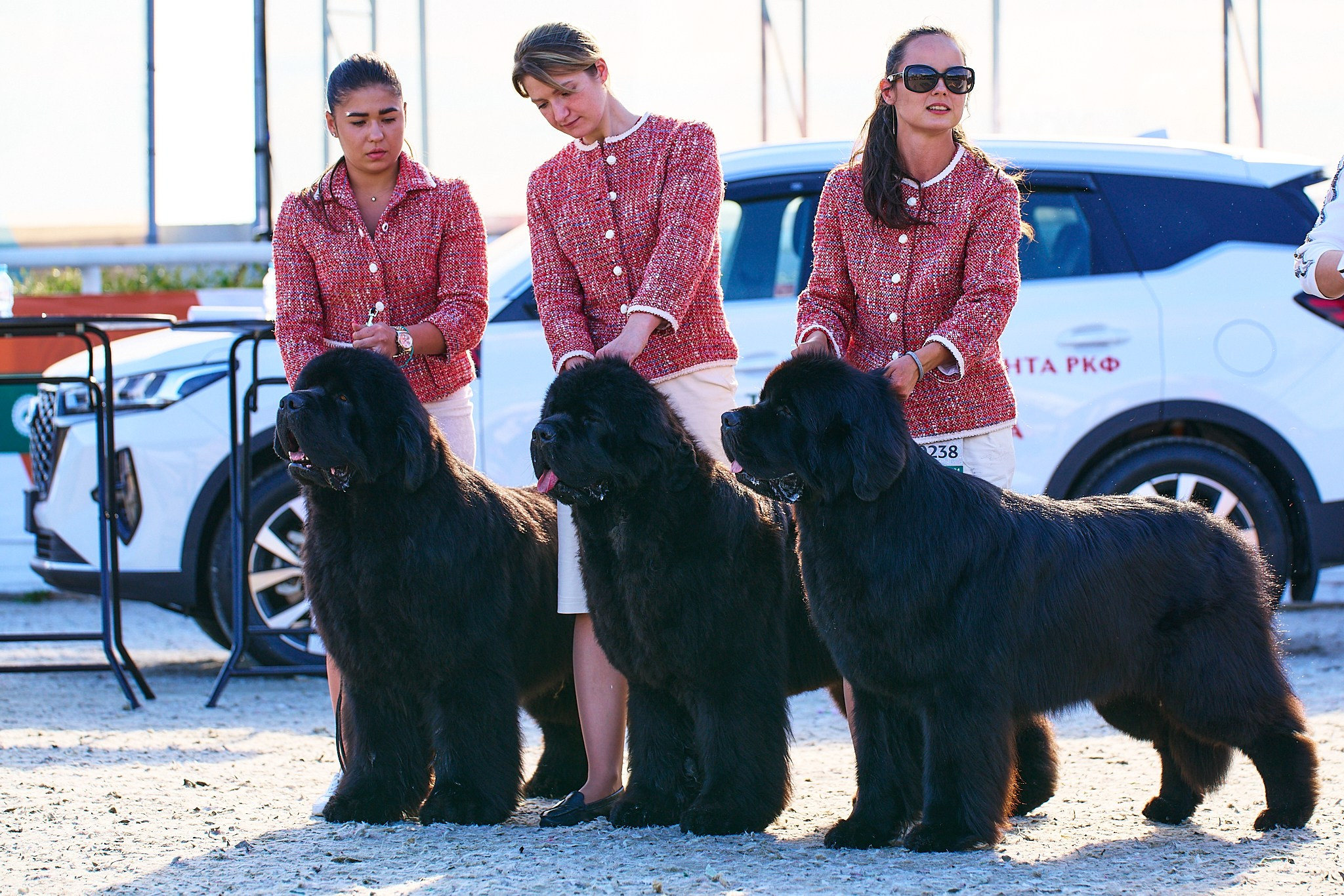 08.06.2024 «РОССИЯ. КУБОК РКФ 2024»