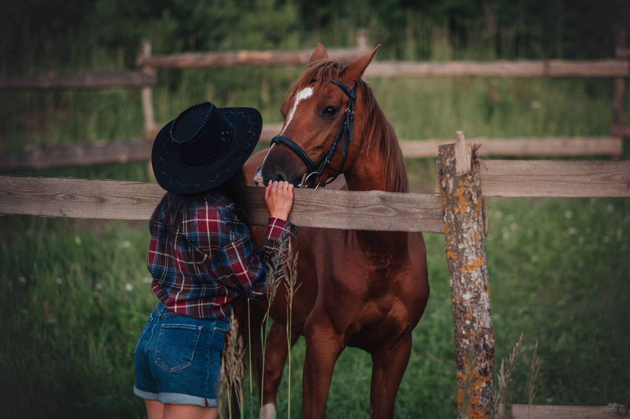 Ксюша и Майя — 05.07.2025. Фотограф — Анималист | Анна Абрамова