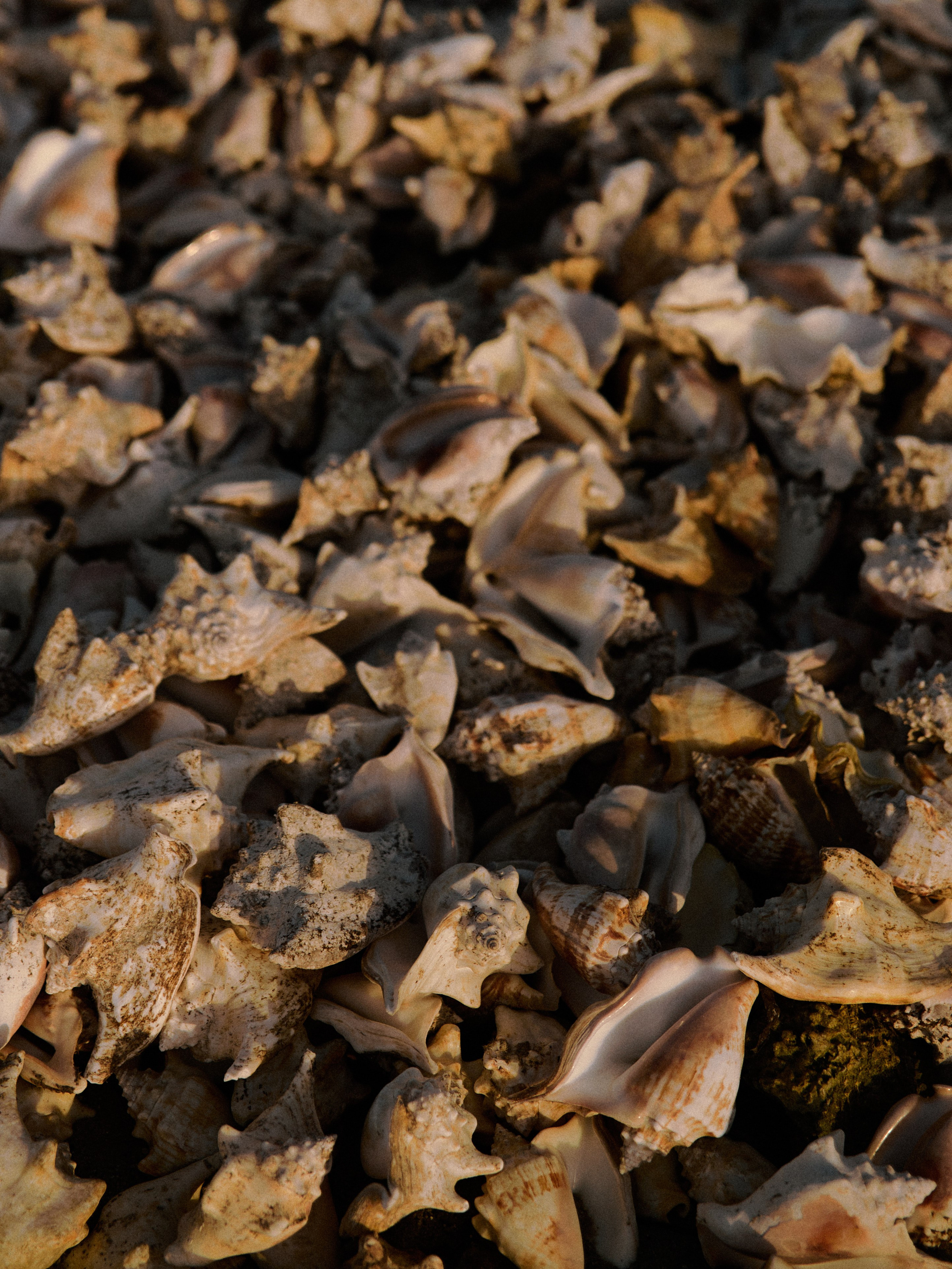 Диптих. Jorgis — фотограф в Хургаде / обучение фотографии