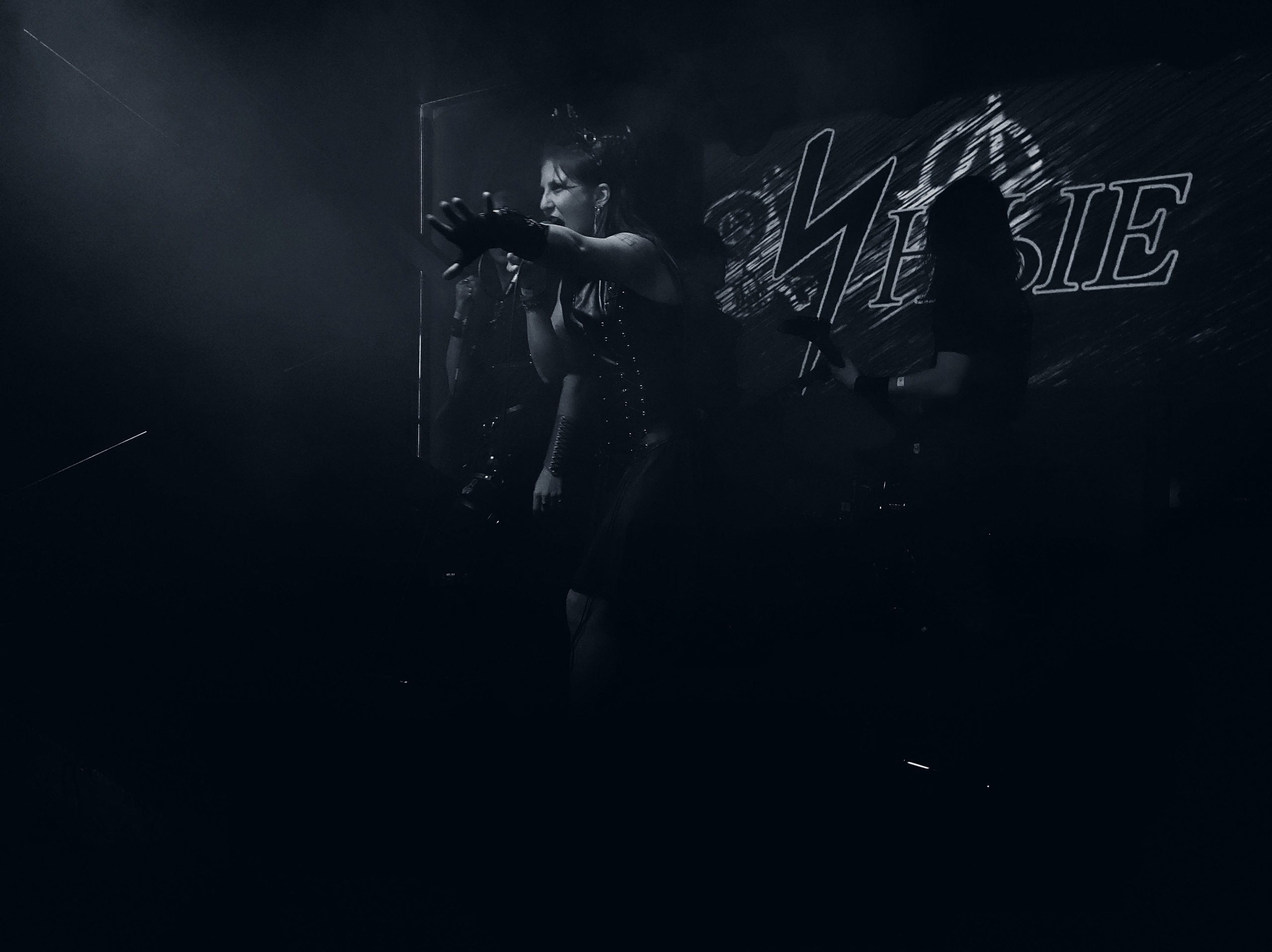 Иные. Rock night, клуб-галерея Эрмитаж. 15.11.2024. Фотограф Регина Крикунова г. Красноярск