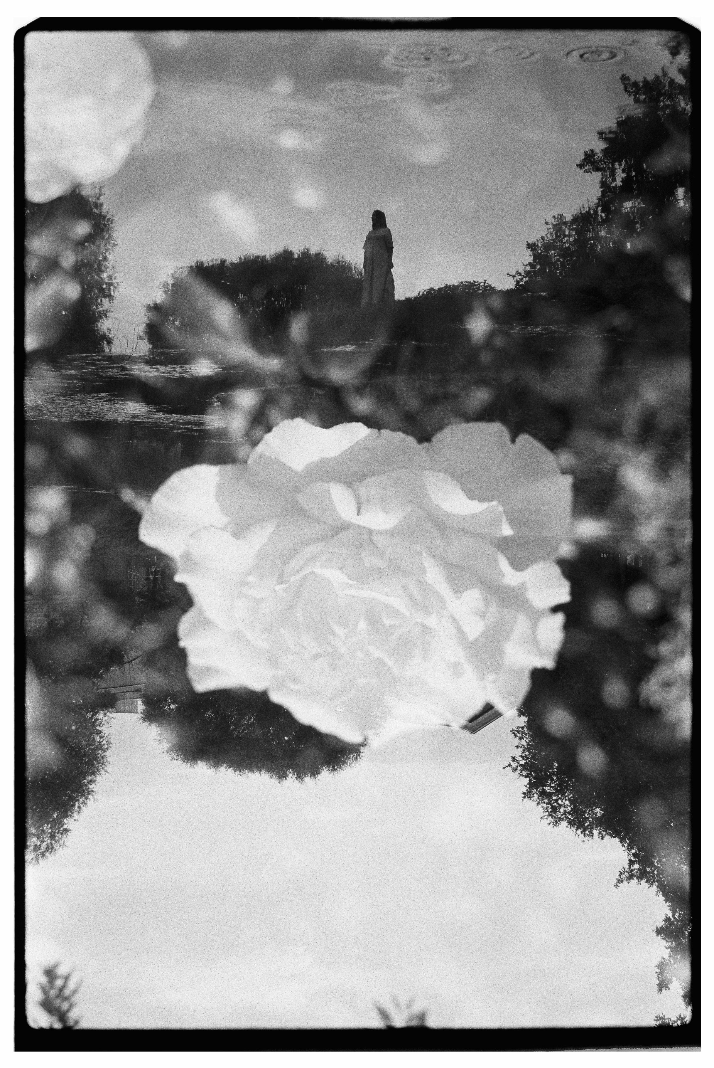 Портретная фотосессия на пленку в Оранжерее Таврического сада, СПб. Светлана Гопанюк. Портретный фотограф. Санкт-Петербург. СПб