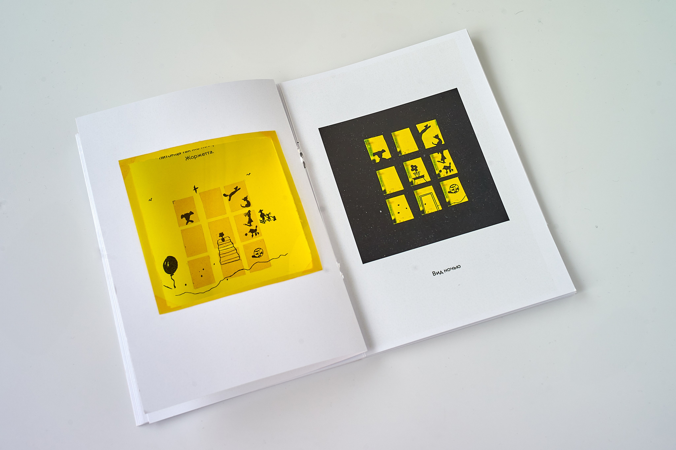 Guide to the Magical Forest