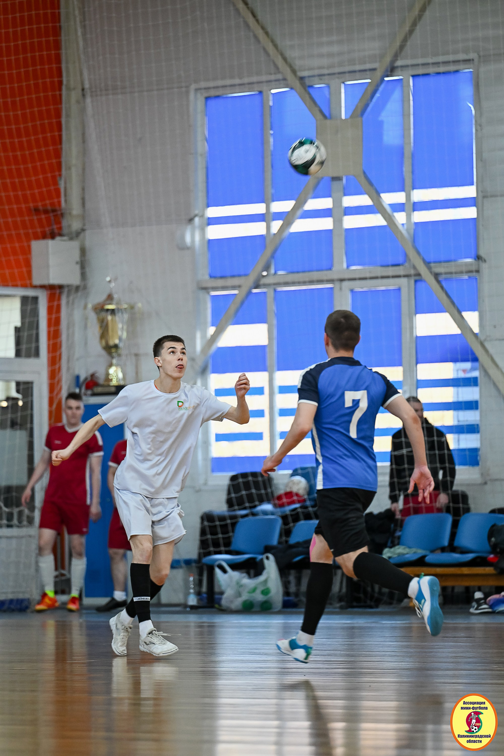Корпоративная Бизнес Лига по футзалу — Весна 2026. VIBECITY.RU Вайб Сити Ру Фоторепортажи Фотоотчеты Калининград