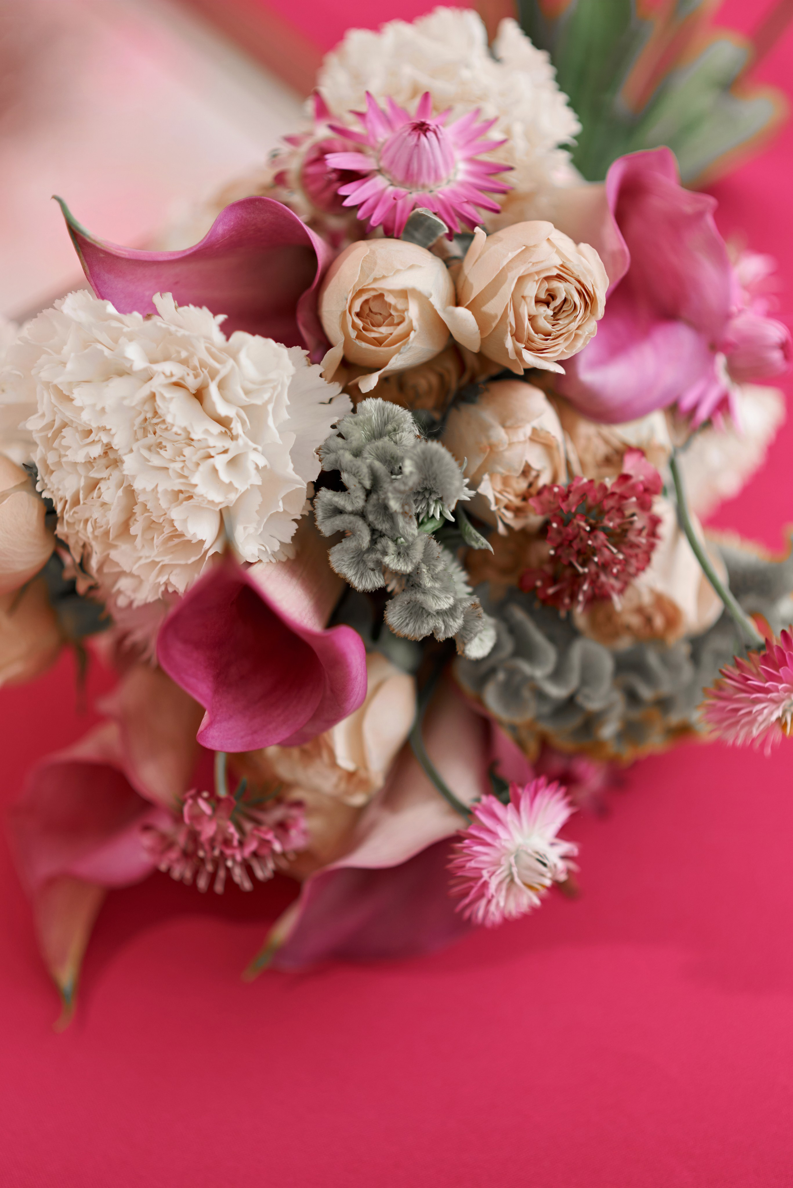 30.08.24 Слава и Маша. Свадебный фотограф Юлия Гусева