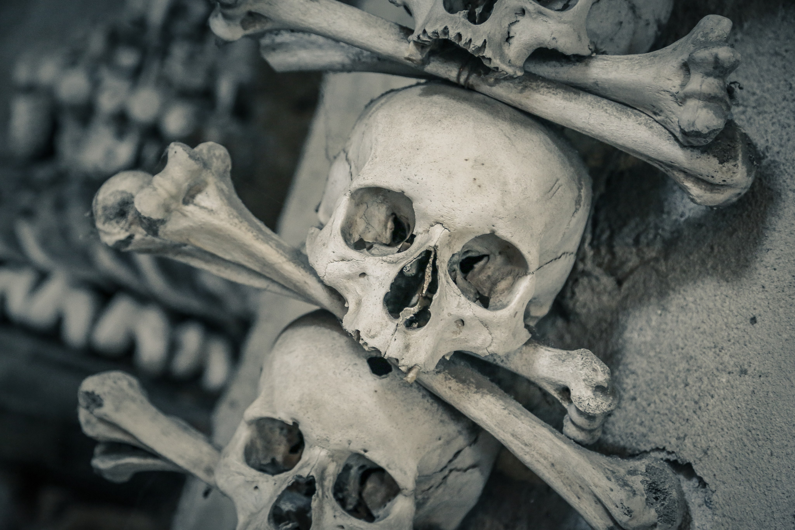 Чехия: Кутна-Гора — серебро и скелеты. Дарья Письменюк / Darya Leitstern — фотограф, музыкант, журналист, путешественник