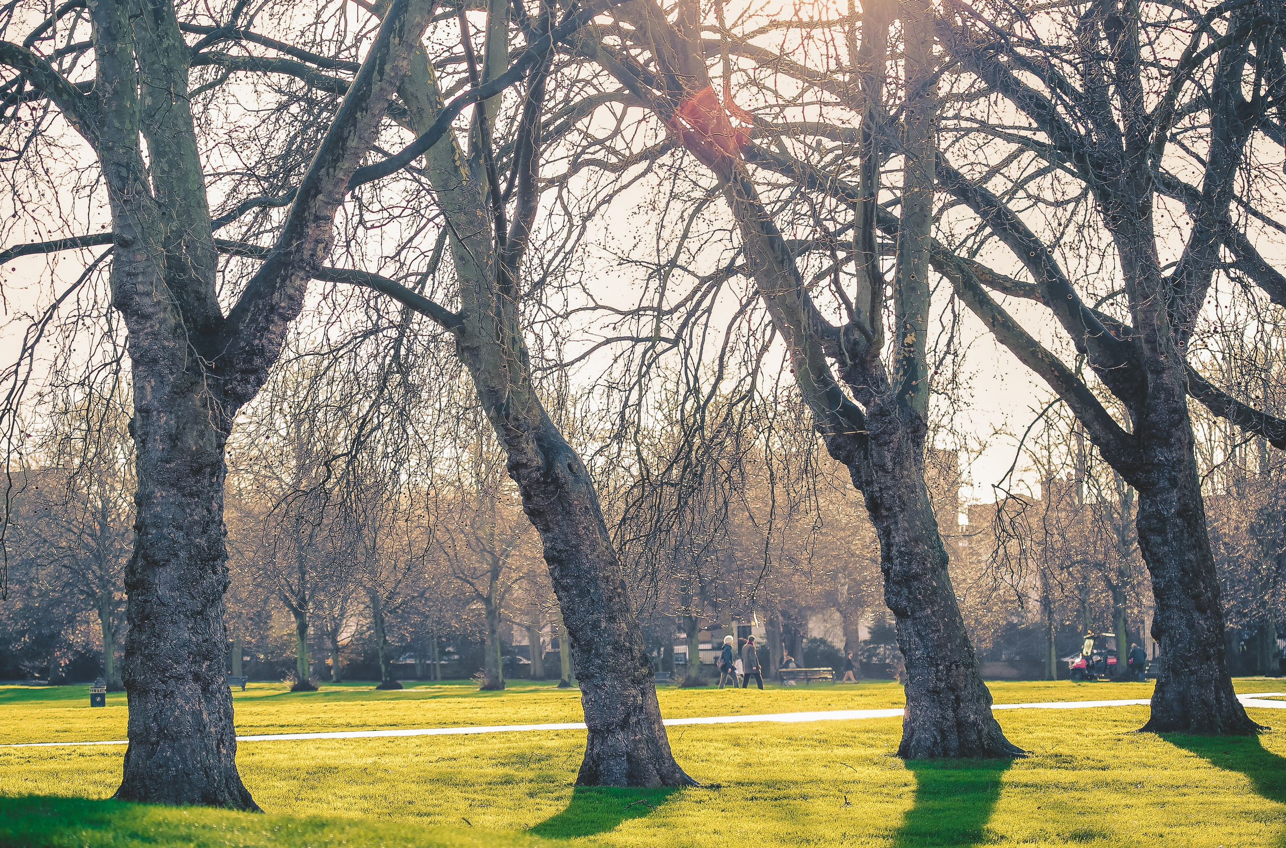 Англия: Гринвич, Хэмптон-Корт, Оксфорд, Виндзор, Стратфорд. Дарья Письменюк / Darya Leitstern — фотограф, музыкант, журналист, путешественник