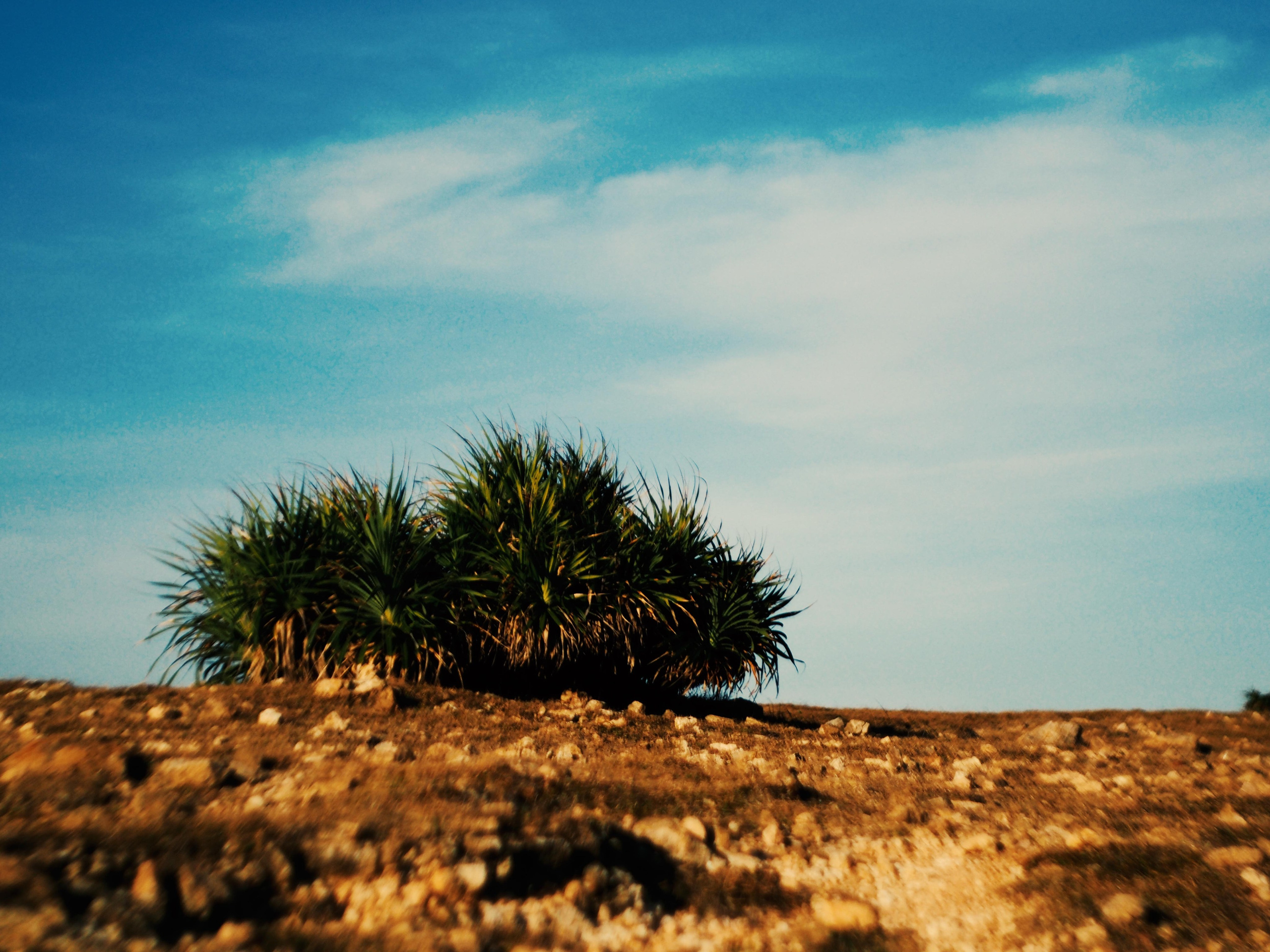 Вьетнам. Барбекю на мысу. Семейный, Детский, Контент фотограф в Самаре Renatto (Ренат Алимбиков)