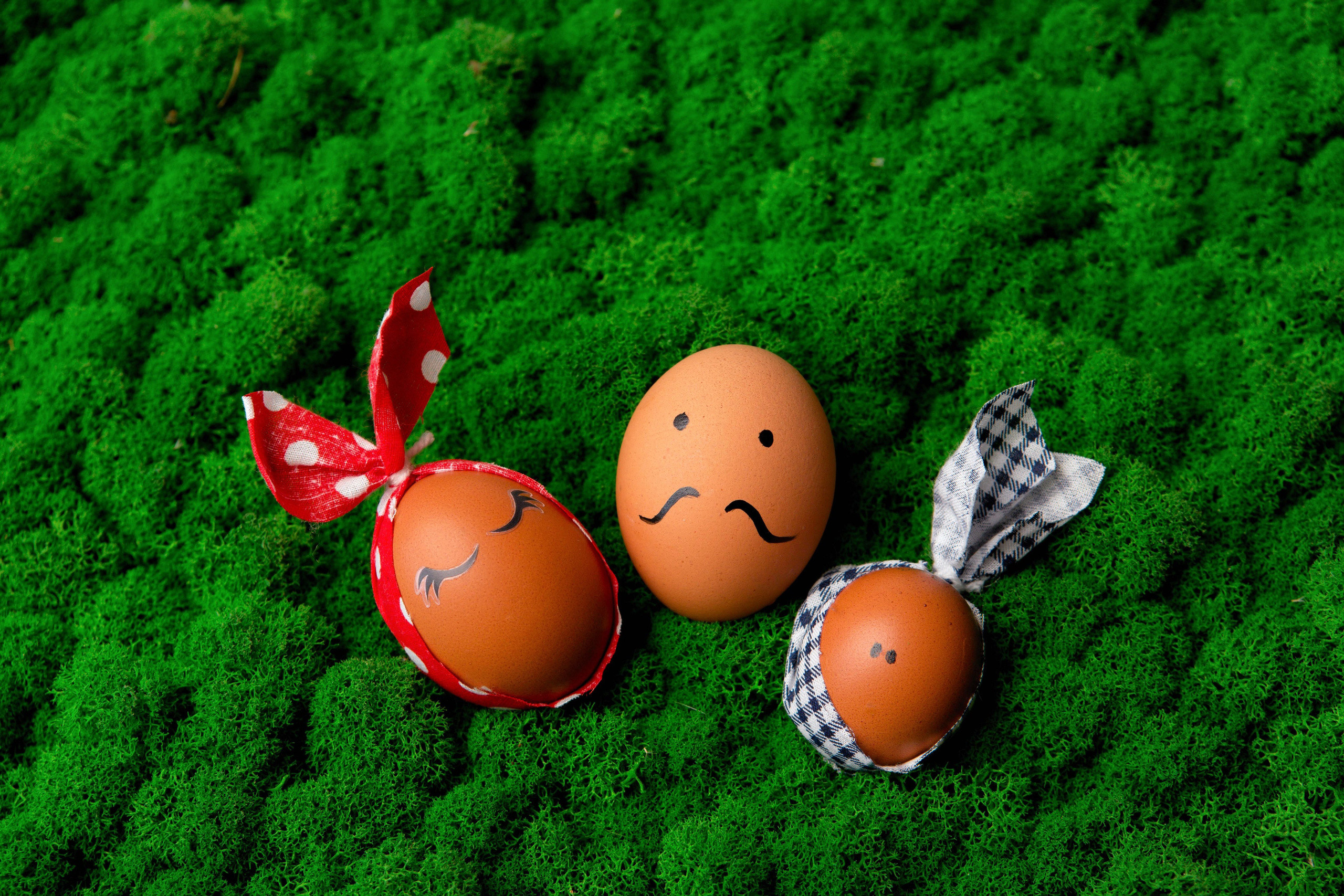 Фотограф | Михаил Буш Смоленск