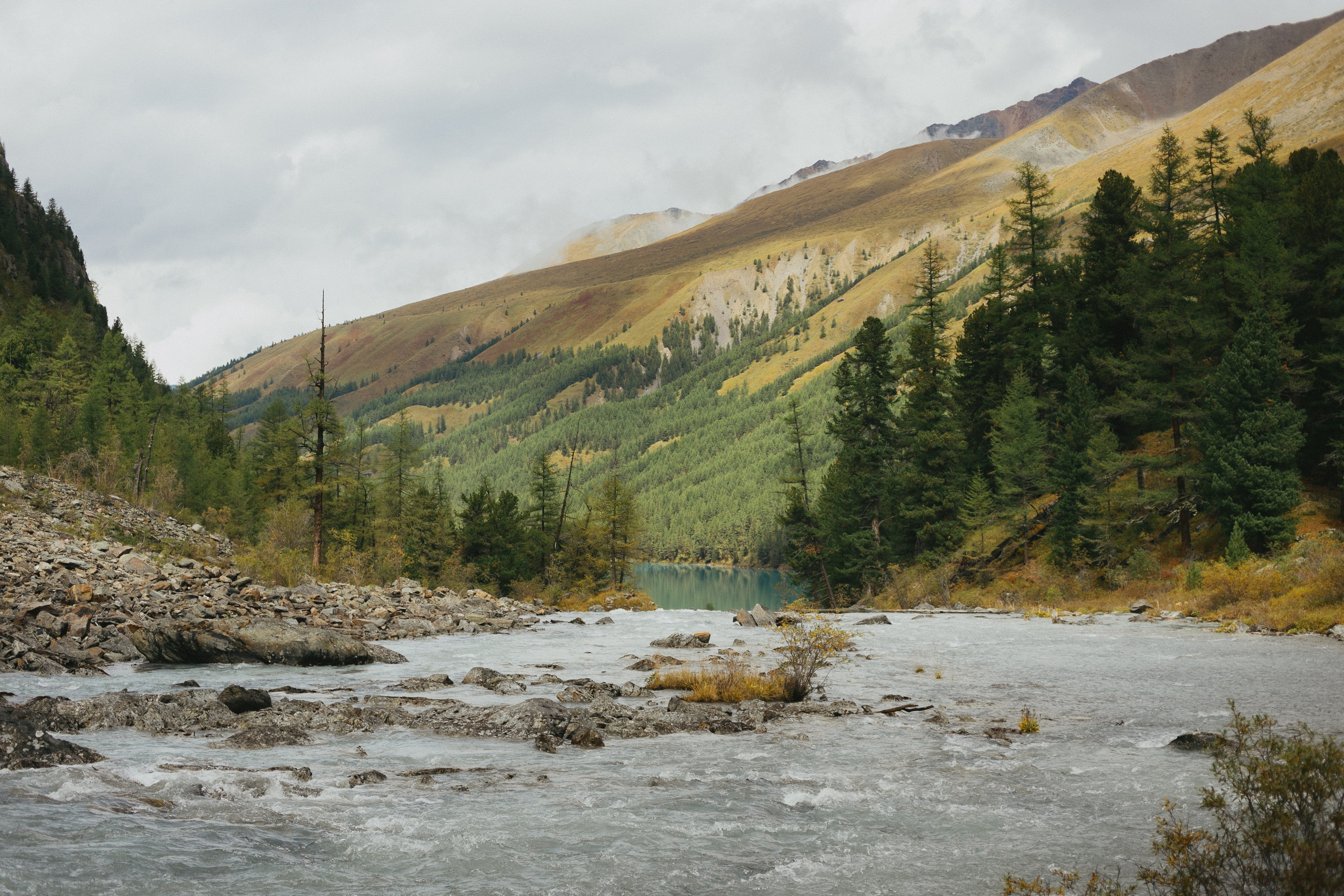 Шавлинские. Главная