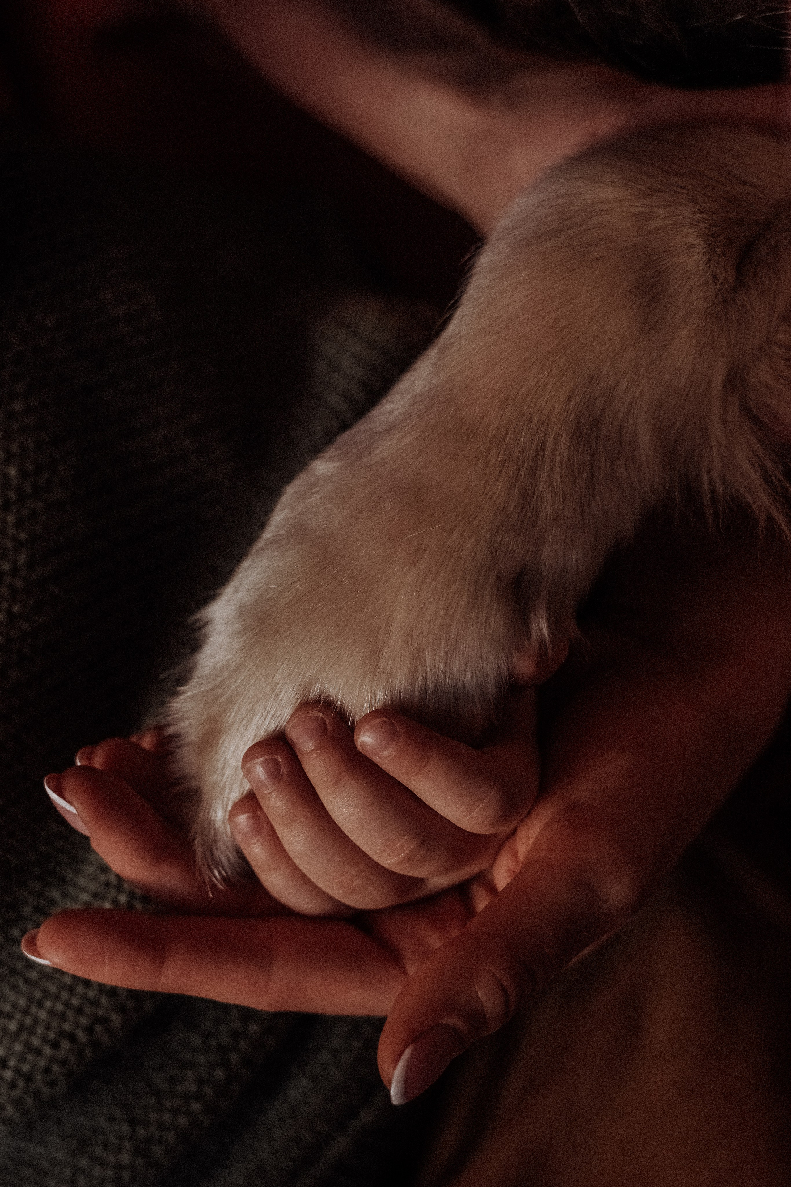 Лучший друг. Свадебный и семейный фотограф Афанасьева Анна в Кисловодске