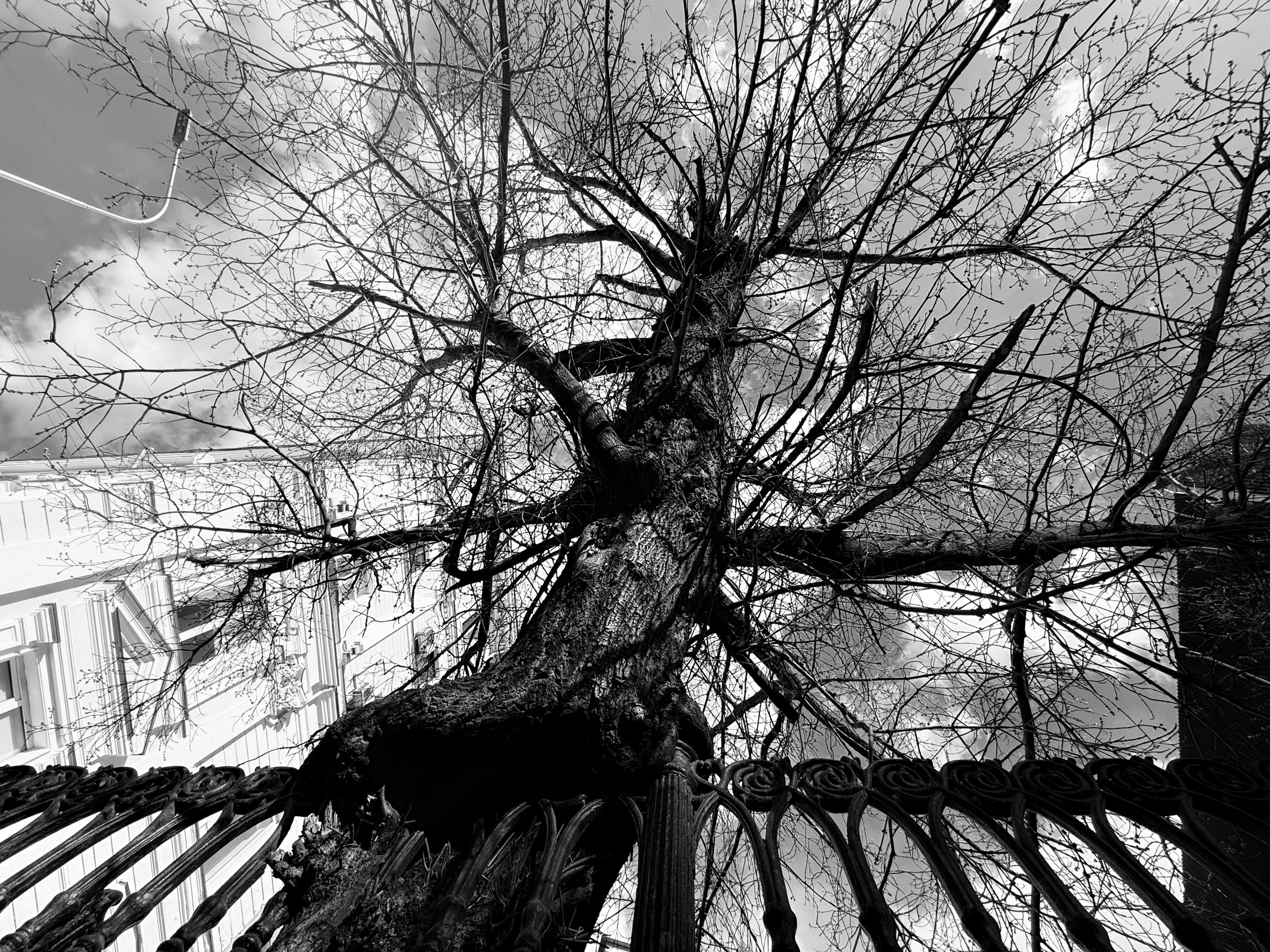 Разное. Niki Kohmansky Портретный фотограф Москва