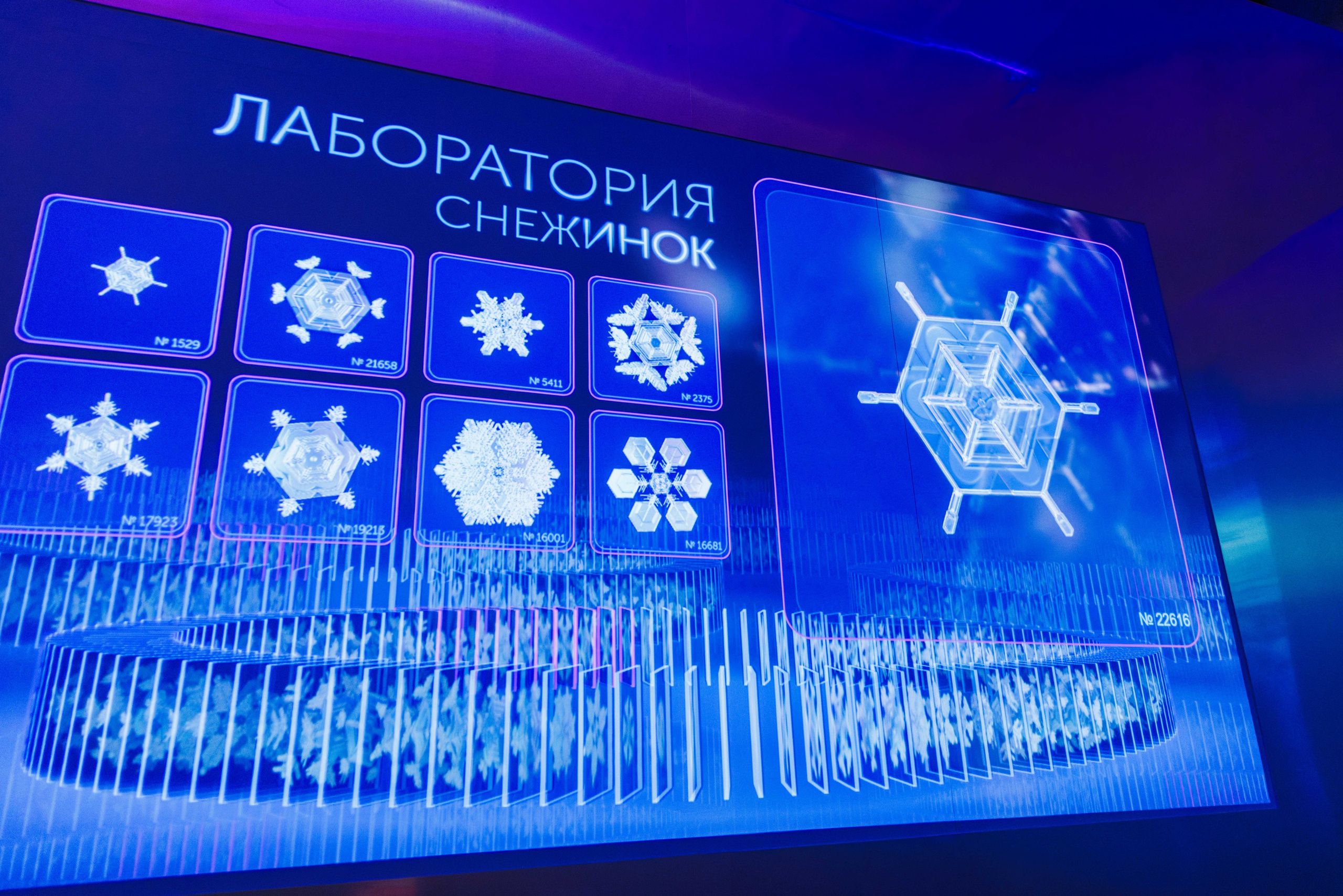 Лед. Жизнь — познавательно-развлекательная выставка. Фотограф Балаев Михаил