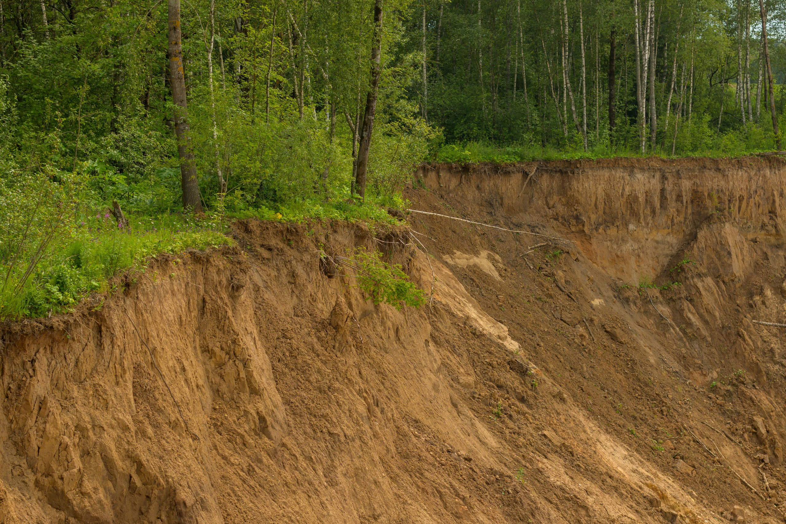 Пейзажики. Фотограф из Боровска в Калужской области