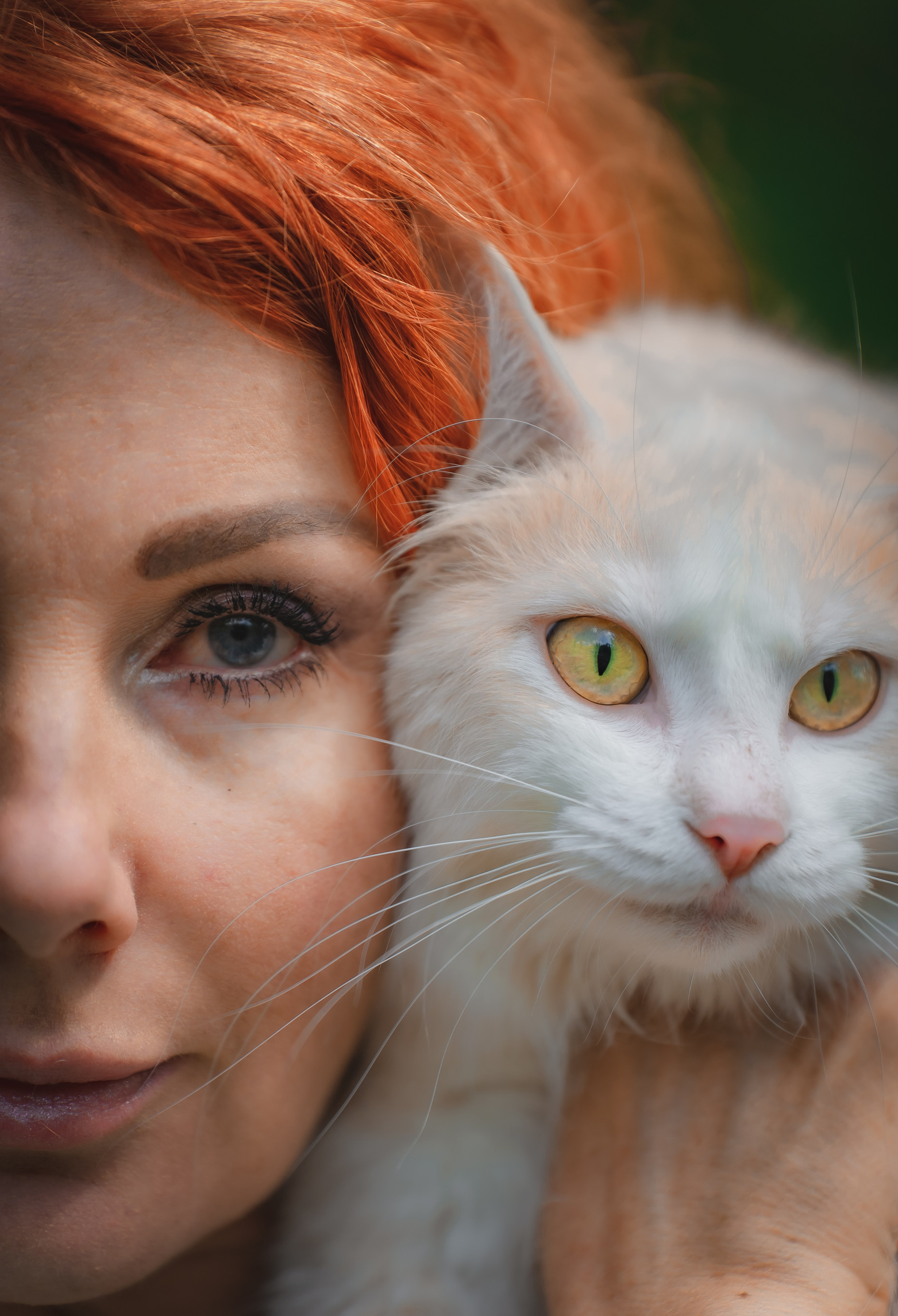 Питомник Курильских бобтейлов. Фотограф в Москве Ленарская Дарья