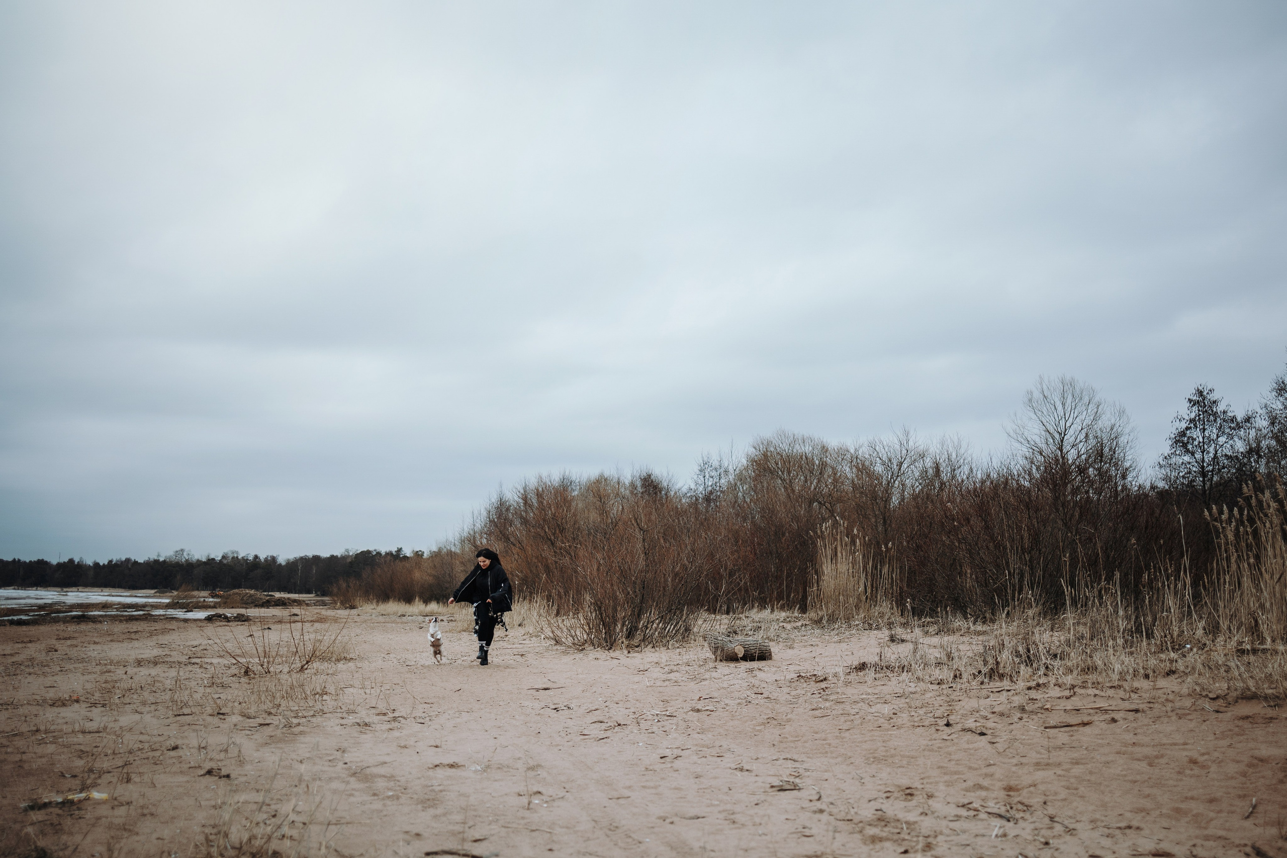 Саша и Джеки. Фотограф — Анималист | Санкт-Петербург