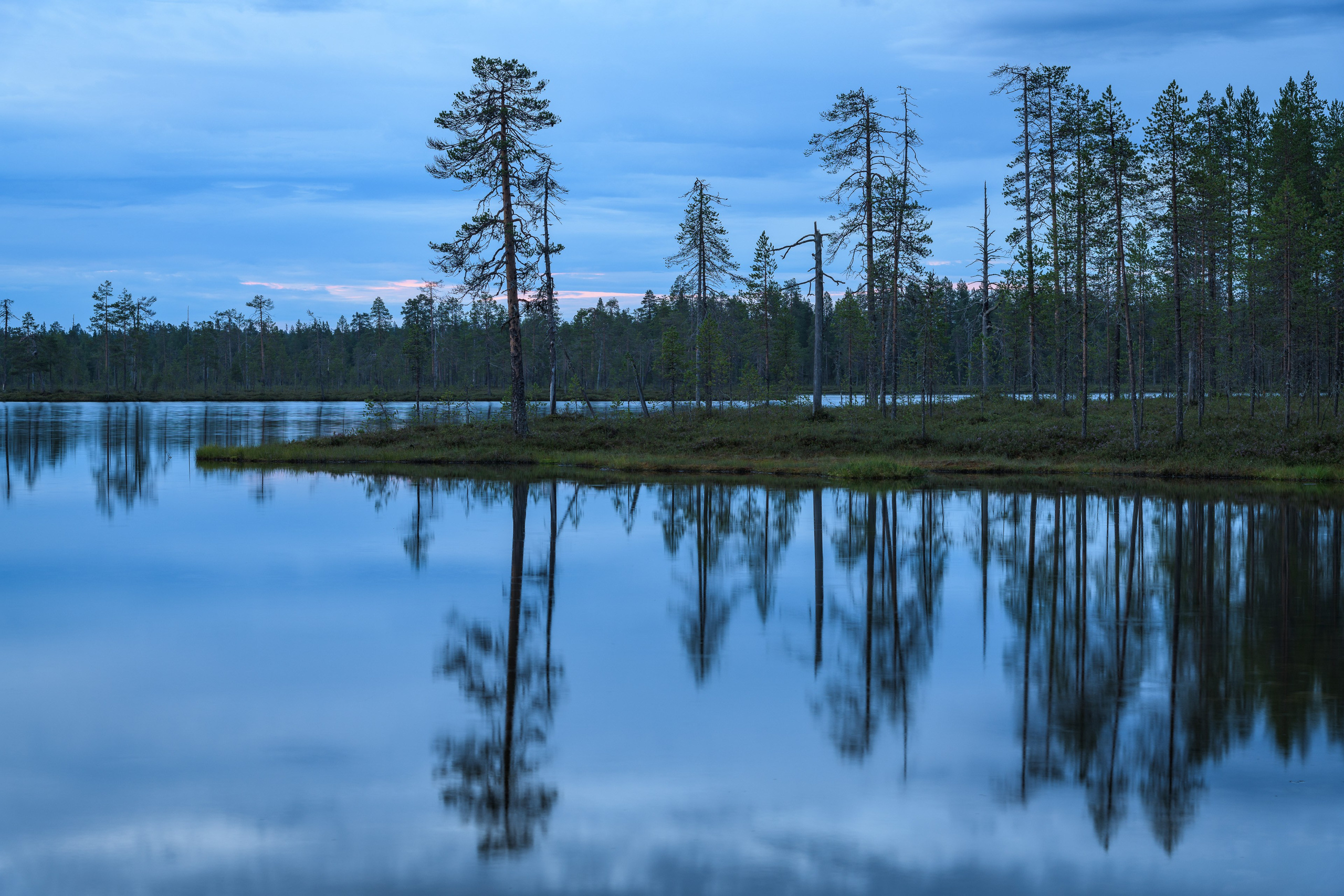 Лето. Северные Ночи