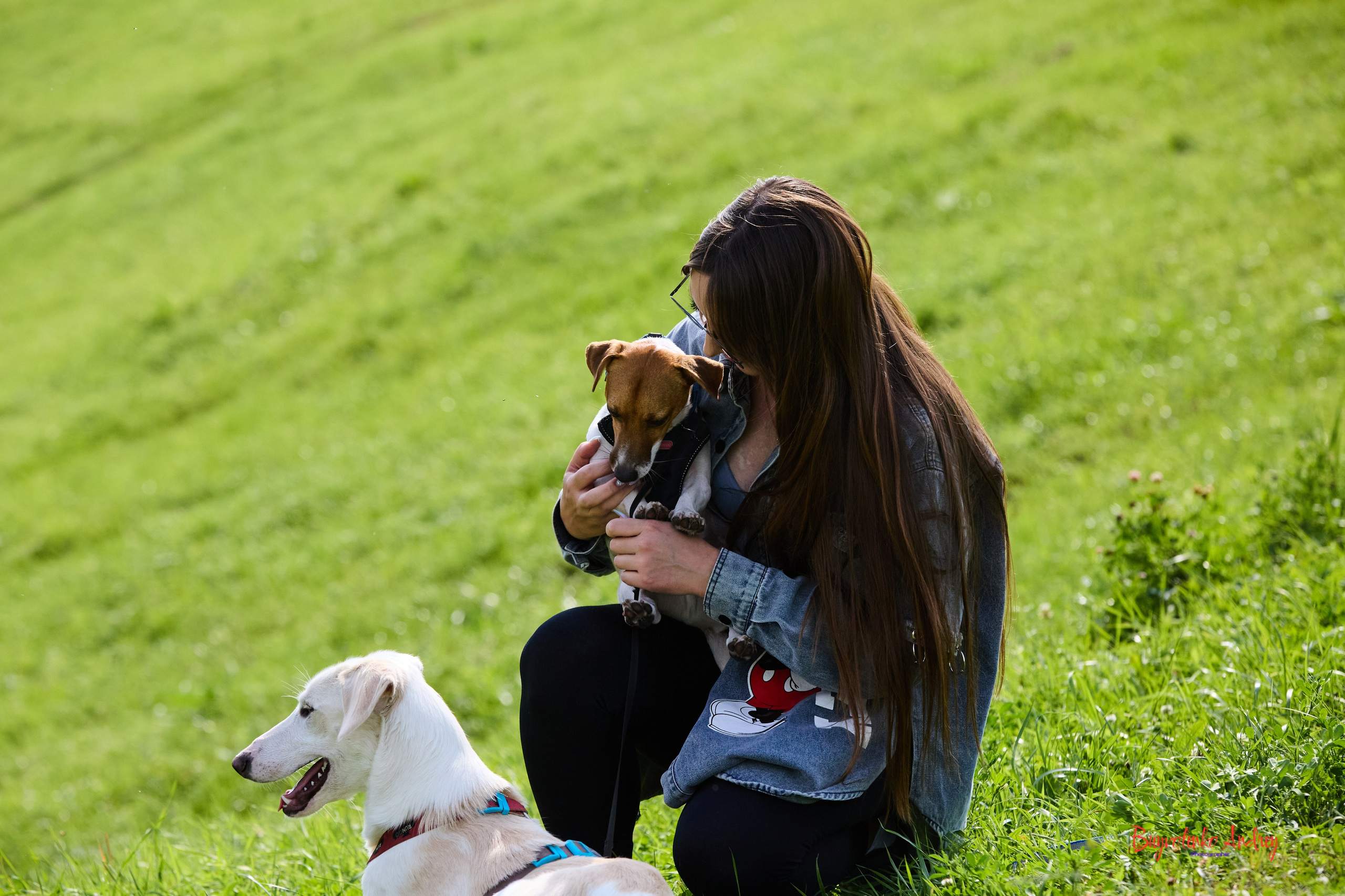 Проект фотопрогулка с хвостиком. Buyvolenko Andrey