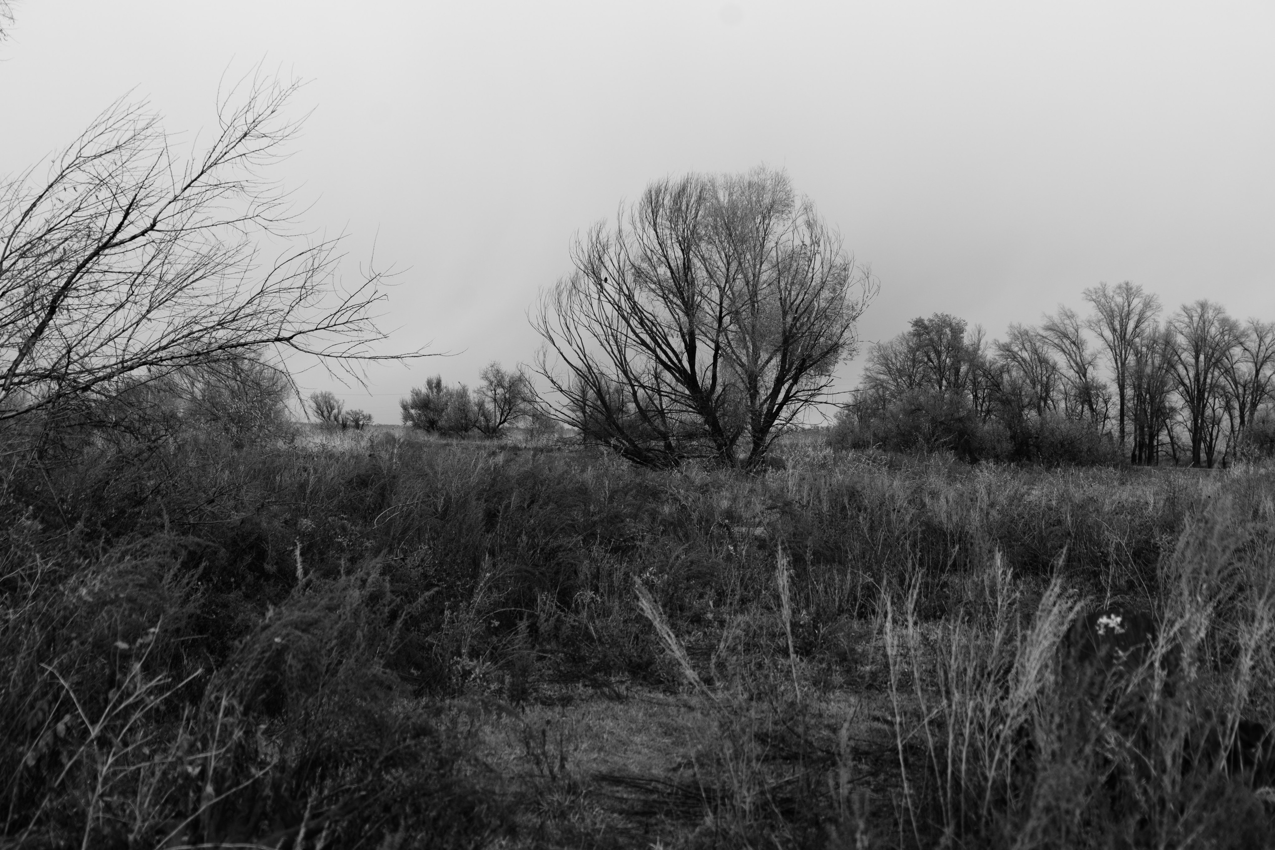 Бекстейдж сьемки кино. Профессиональная съемка в Алматы