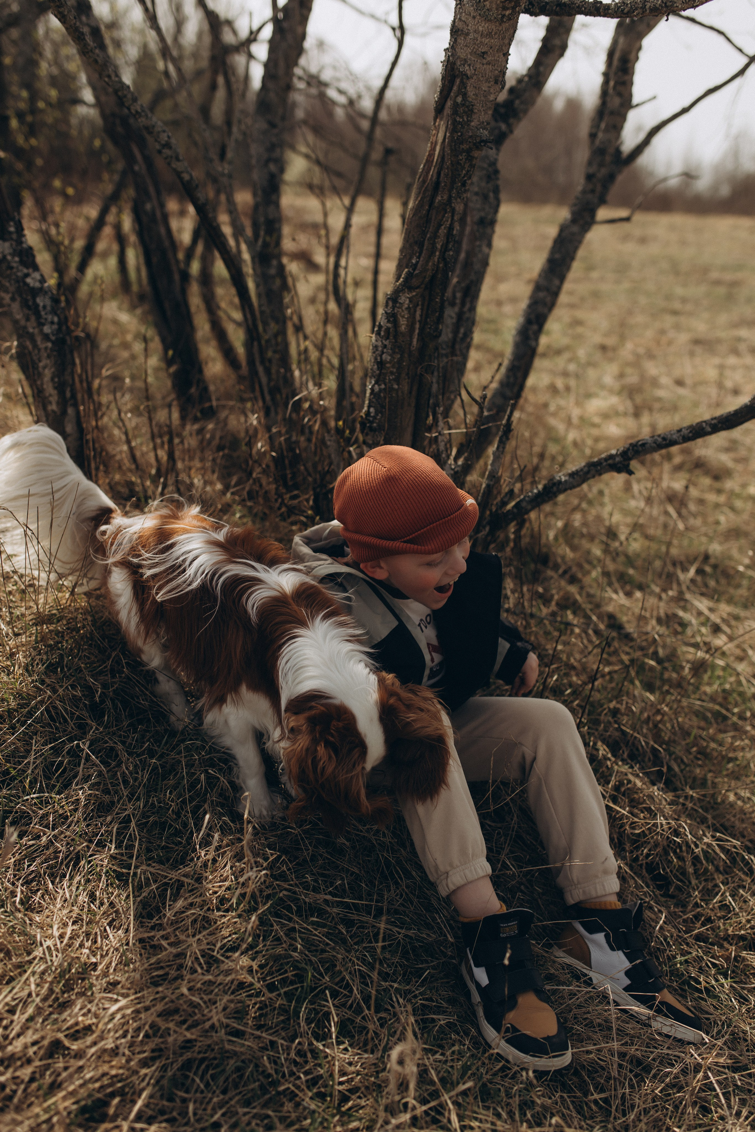 Николай, Елена, Тимофей и Арчи. Услуги