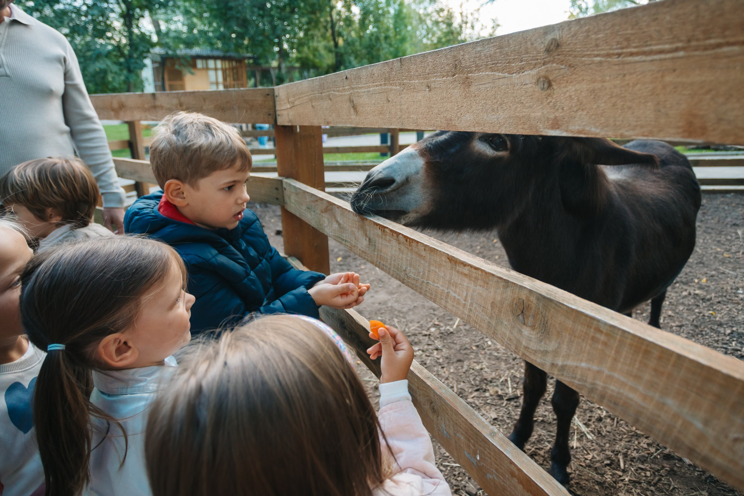 День рождения Марка. Андрей Партнов — фотогрраф, Москва