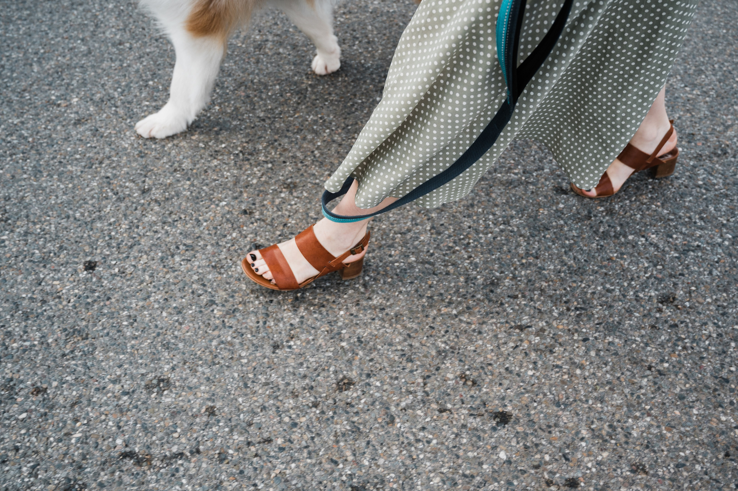 Фотосессия Красная Поляна. Свадебный и семейный фотограф в Краснодаре Марина Стёпа