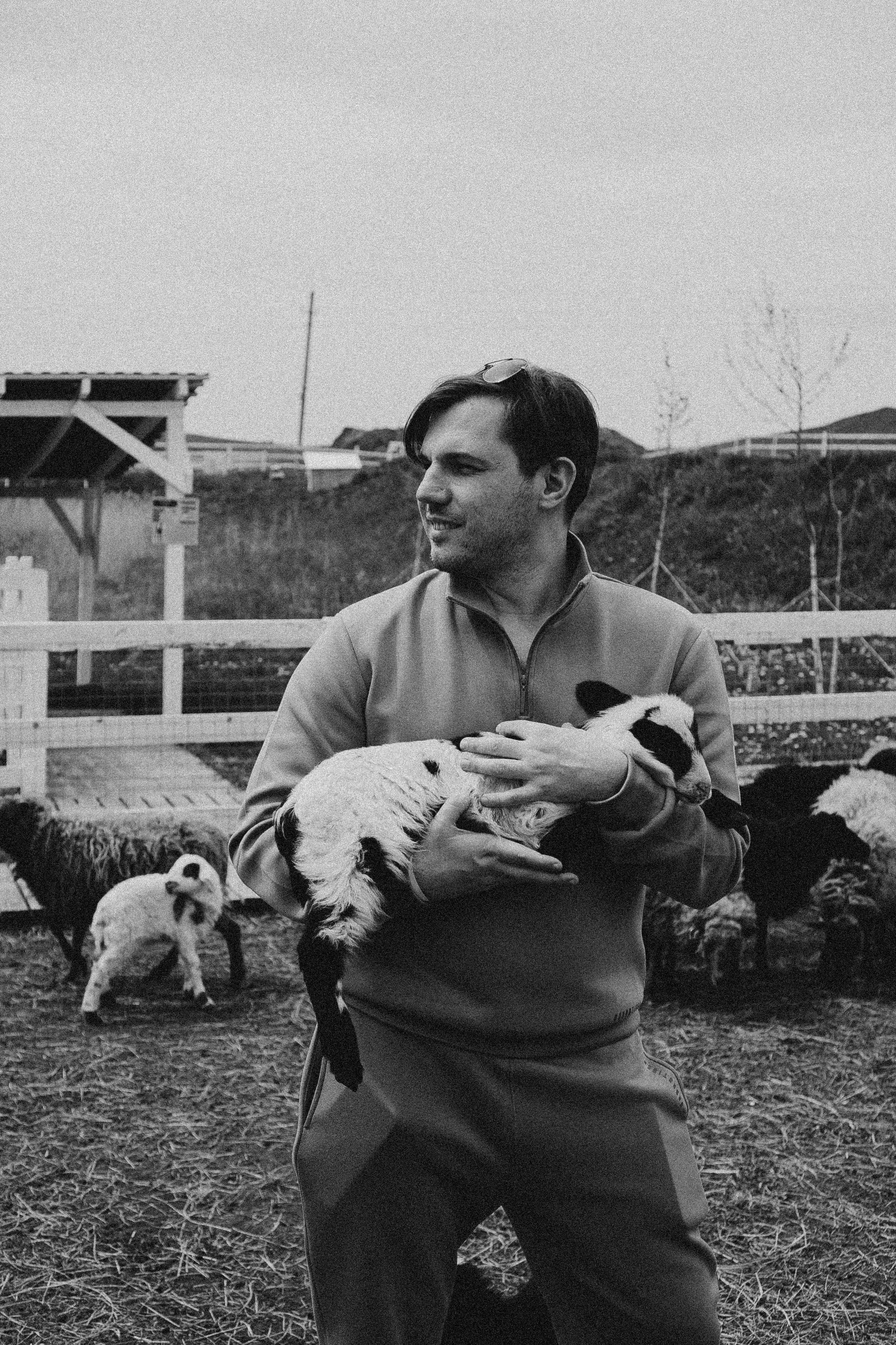 Ферма Альпак. Профессиональный фотограф, Санкт-Петербург — Виктория Богомолова