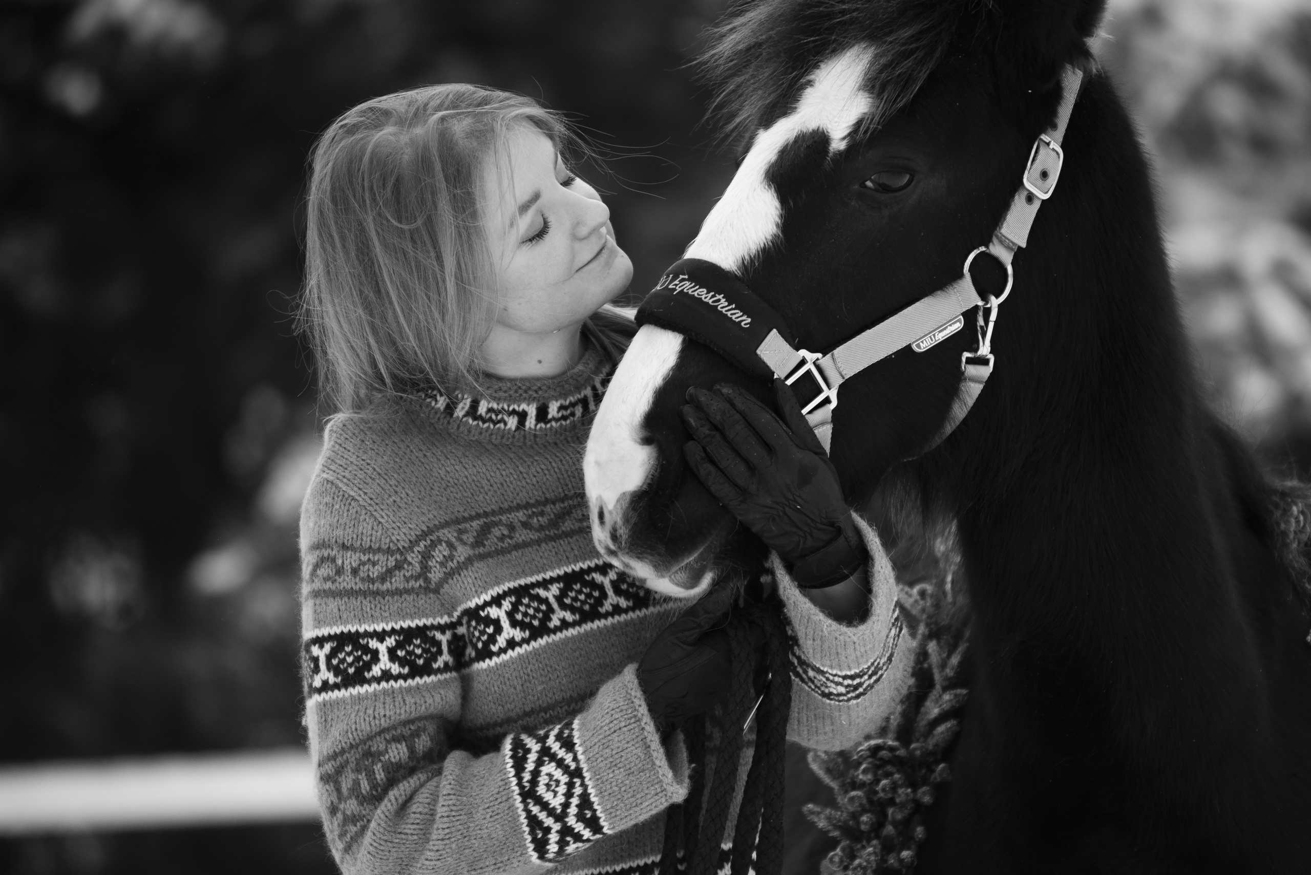Зимний Настасьин табун. Куракина Дарья • Конный фотограф
