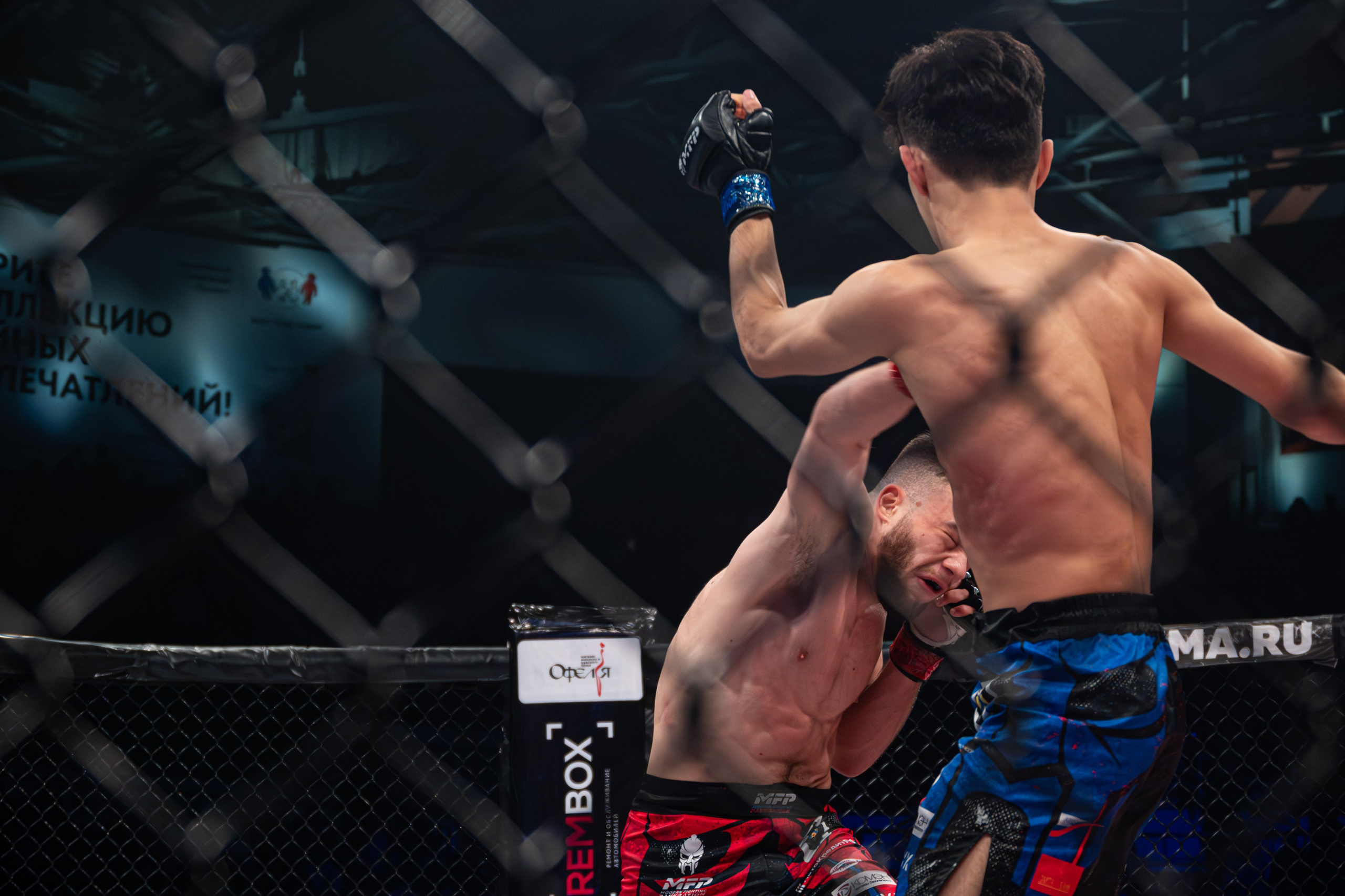 ПАНКРАТИОН. Репортажный фотограф Владислав Остерман