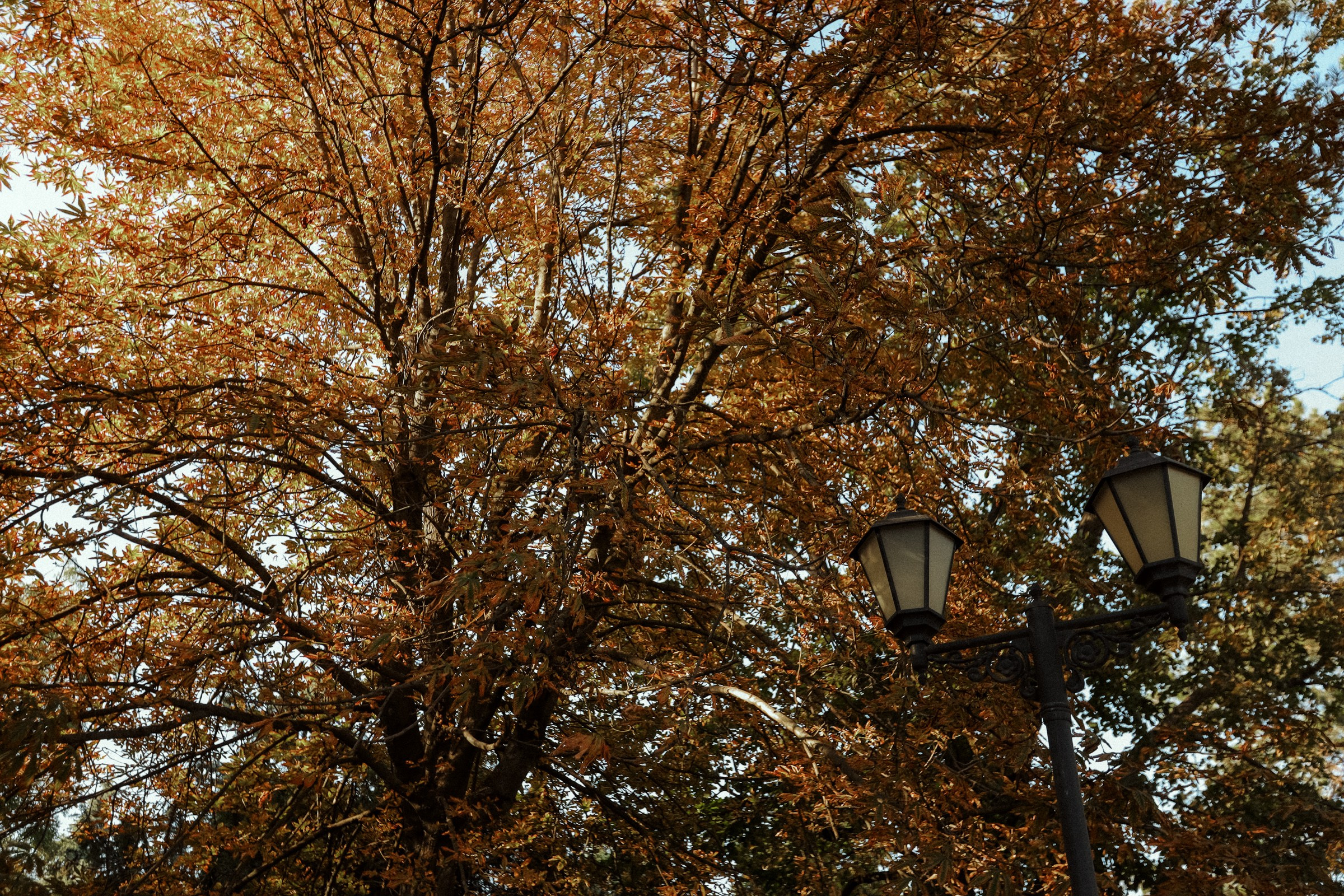 Виктор & Анна. Алексеева Татьяна свадебный фотограф Краснодар, Краснодарский край