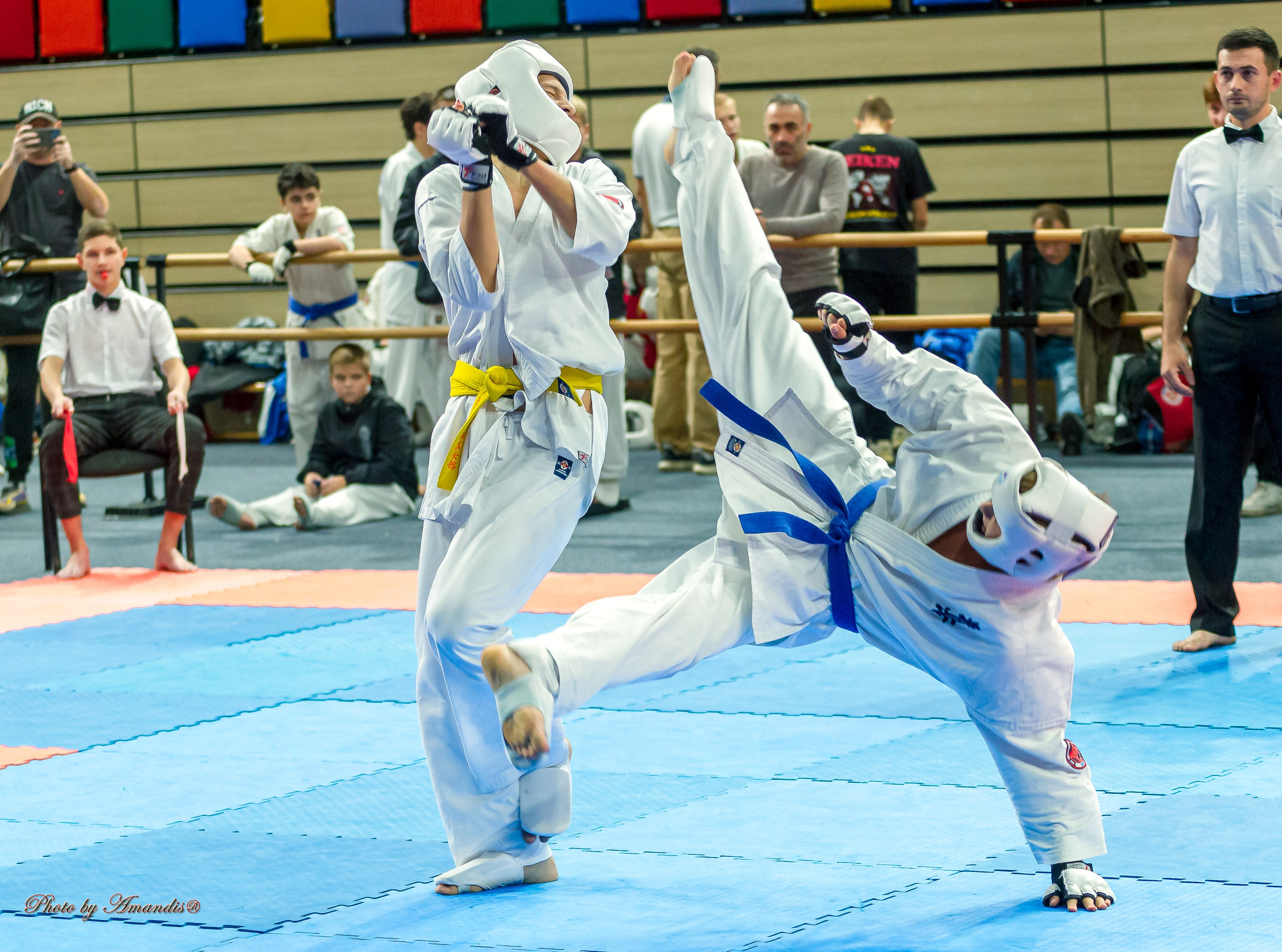 Первенство Московской области по Киокушин в СК «Жаворонки». Репортажная съемка в Москве и области. Анималистика