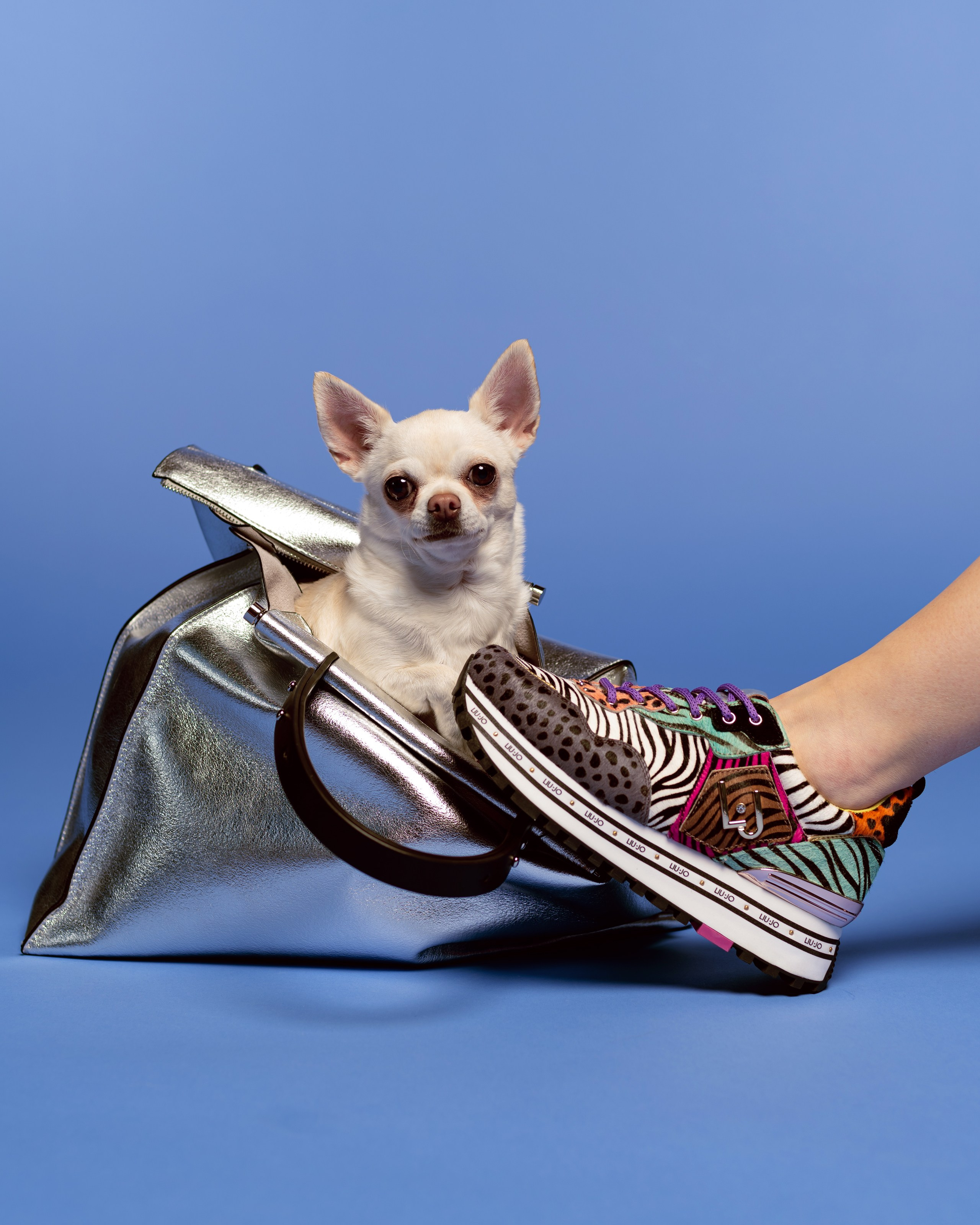 Subject photographer Tokyo. Photographer in Tokyo Anatolii Ozarto