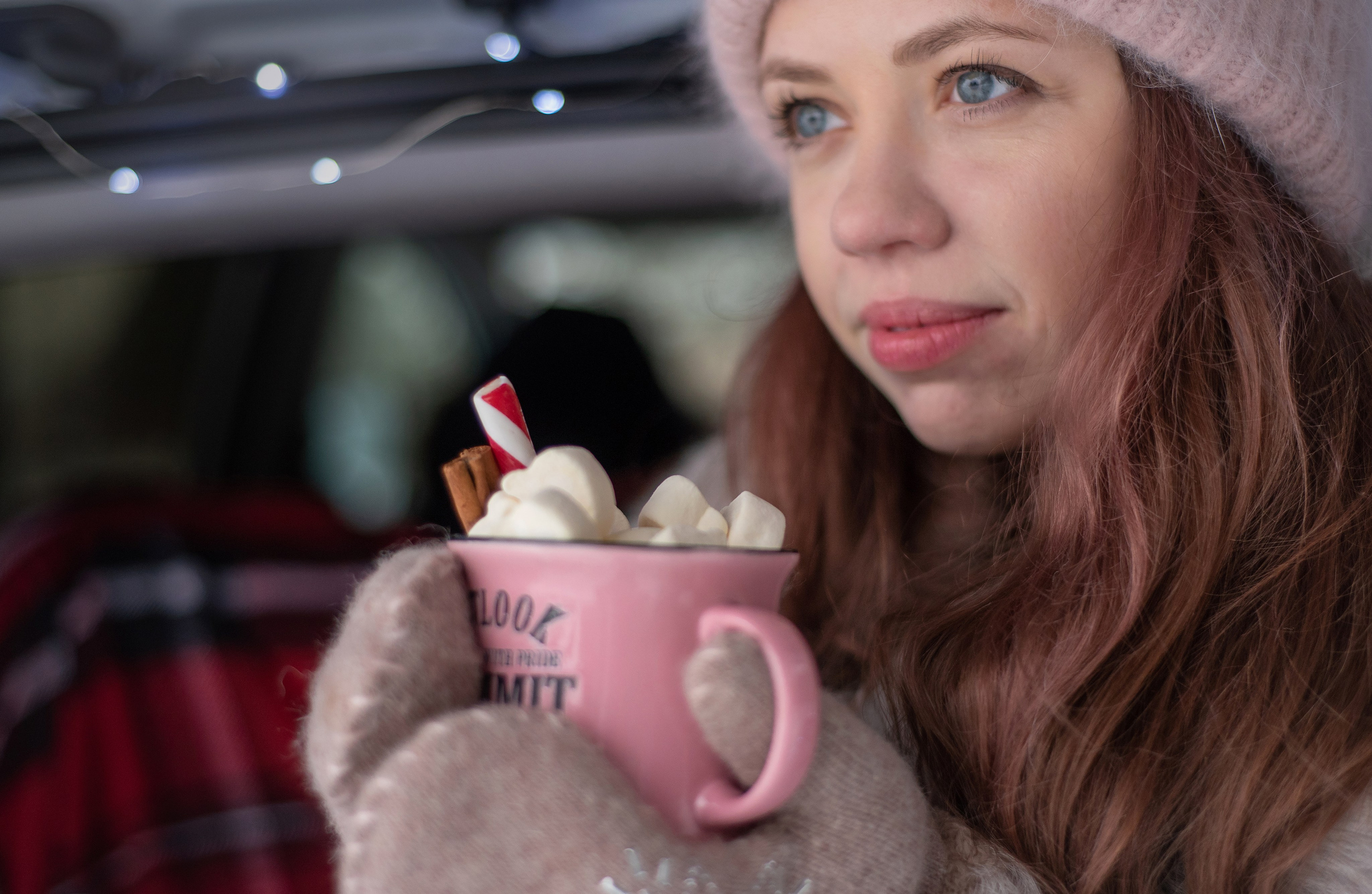 Новогодняя история. Фотограф анималист в Казани Алина Сулейманова. Фотограф животных