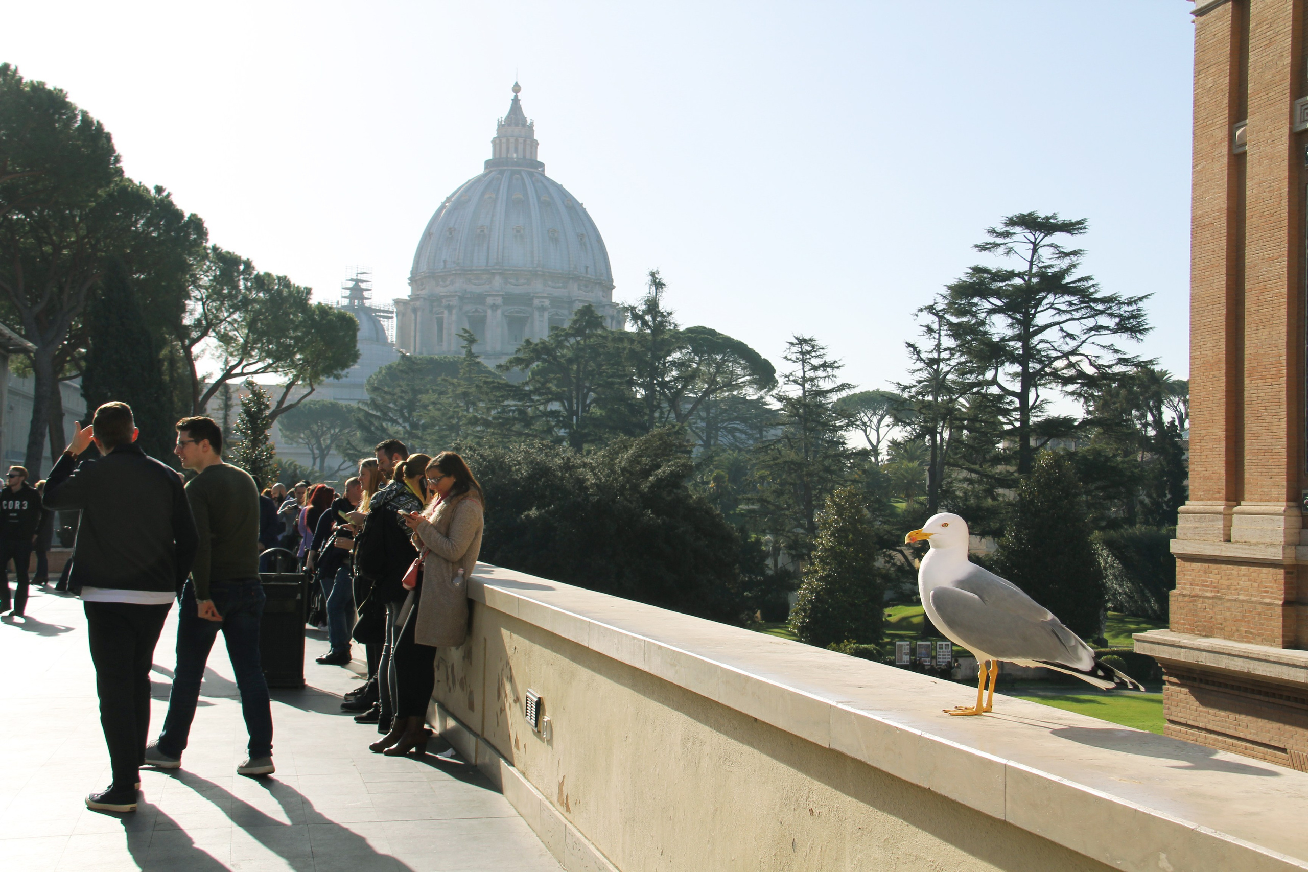 Roma. Фотограф Юлия Попова — JP Creative — хранитель семейной хроники в Петербурге
