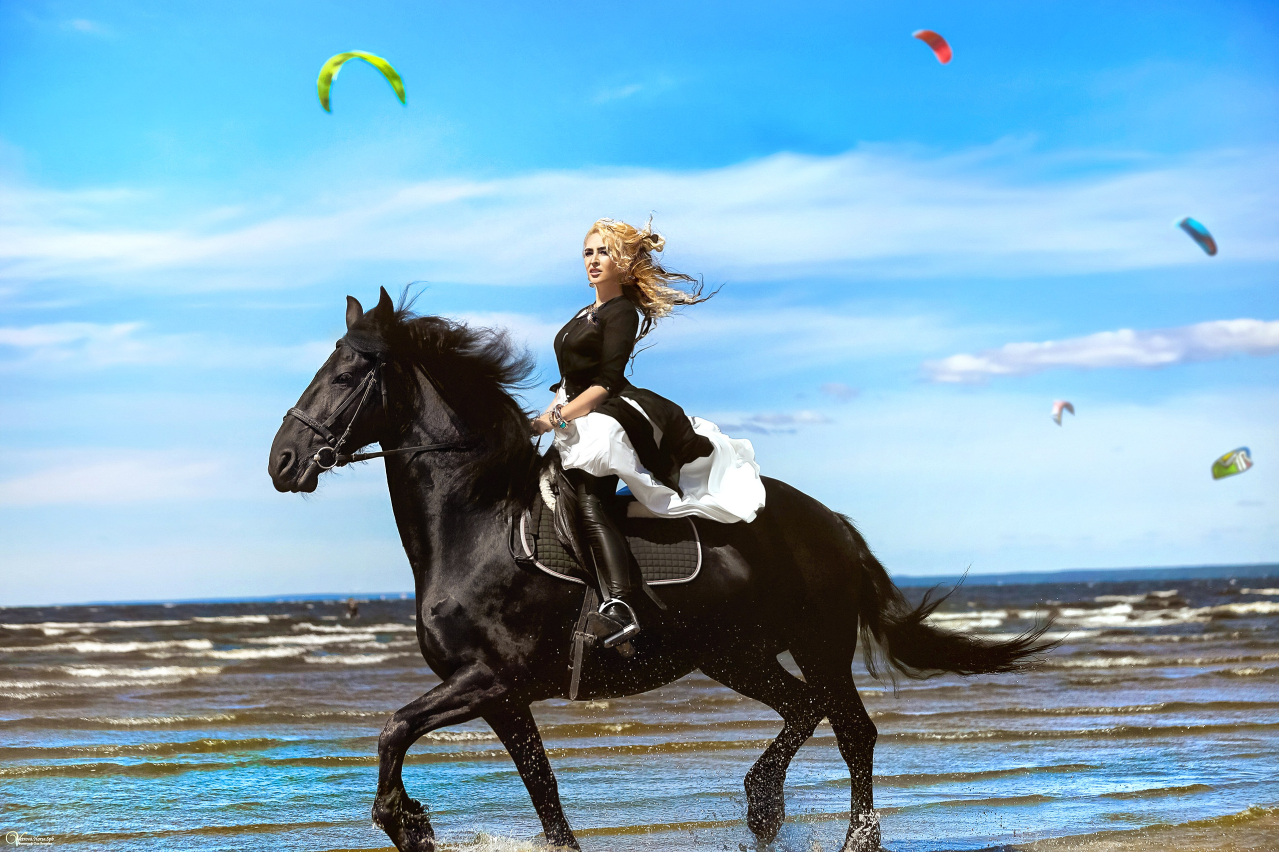 Верхом на лошади по берегу моря, скачки на лошадях по воде, фризская лошадь на заливе