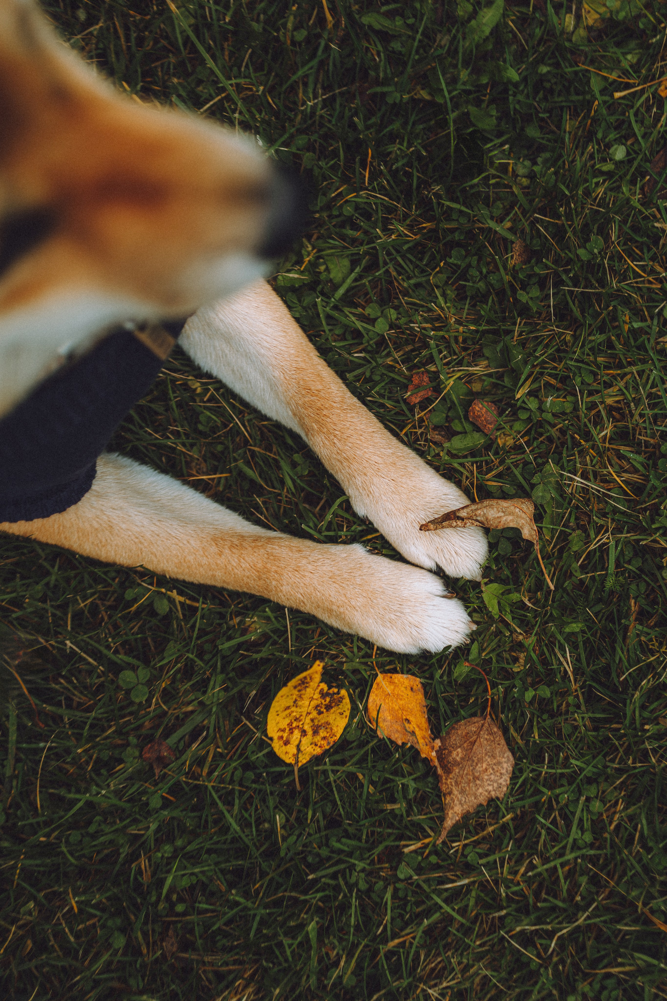 Настя, Юра и Скай