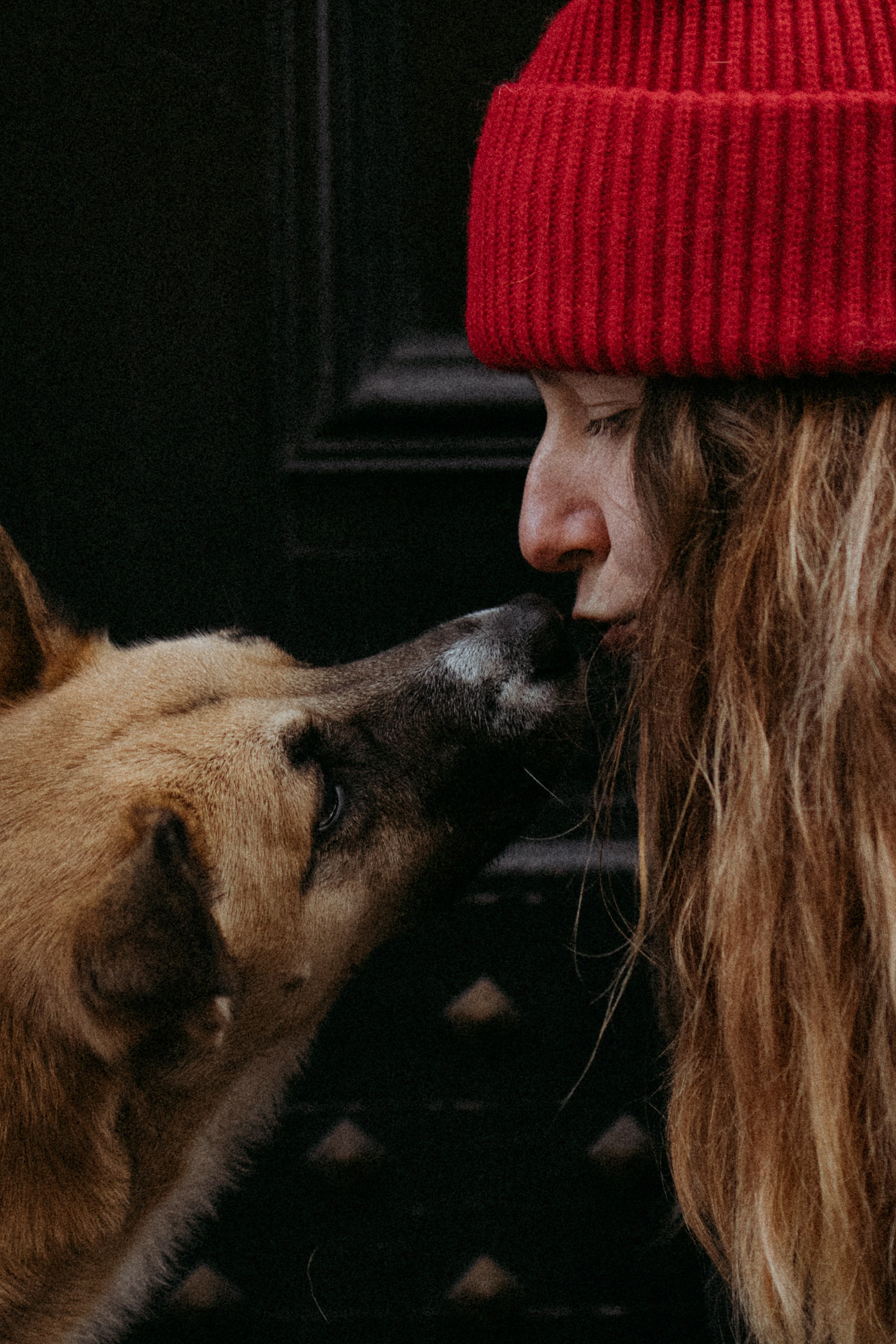 Саша, Ксюша и их банда. Фотораф — анималист Мария Шистка
