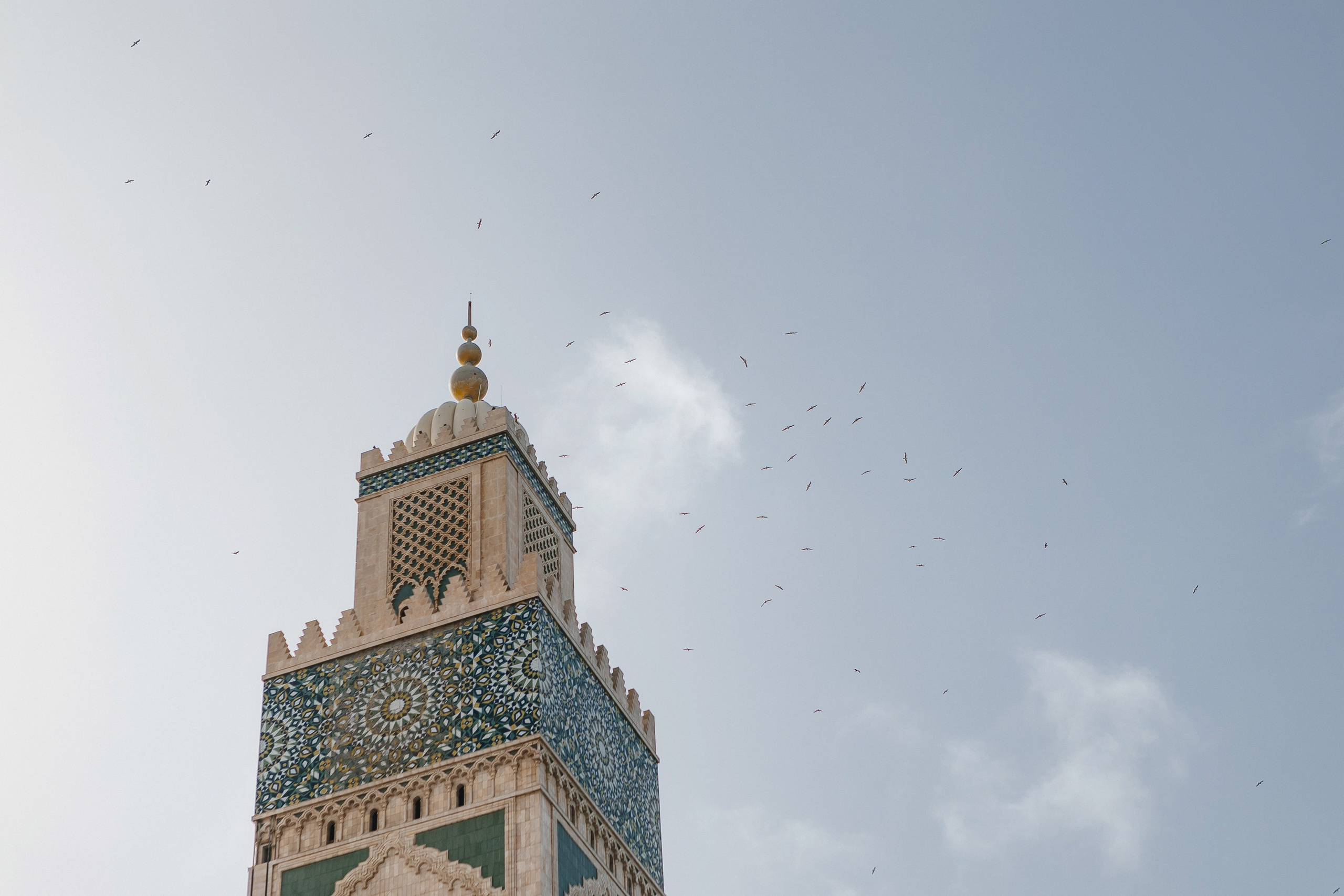 Марокко Альфа Банк. Фотограф в Москве Дмитрий Жарков