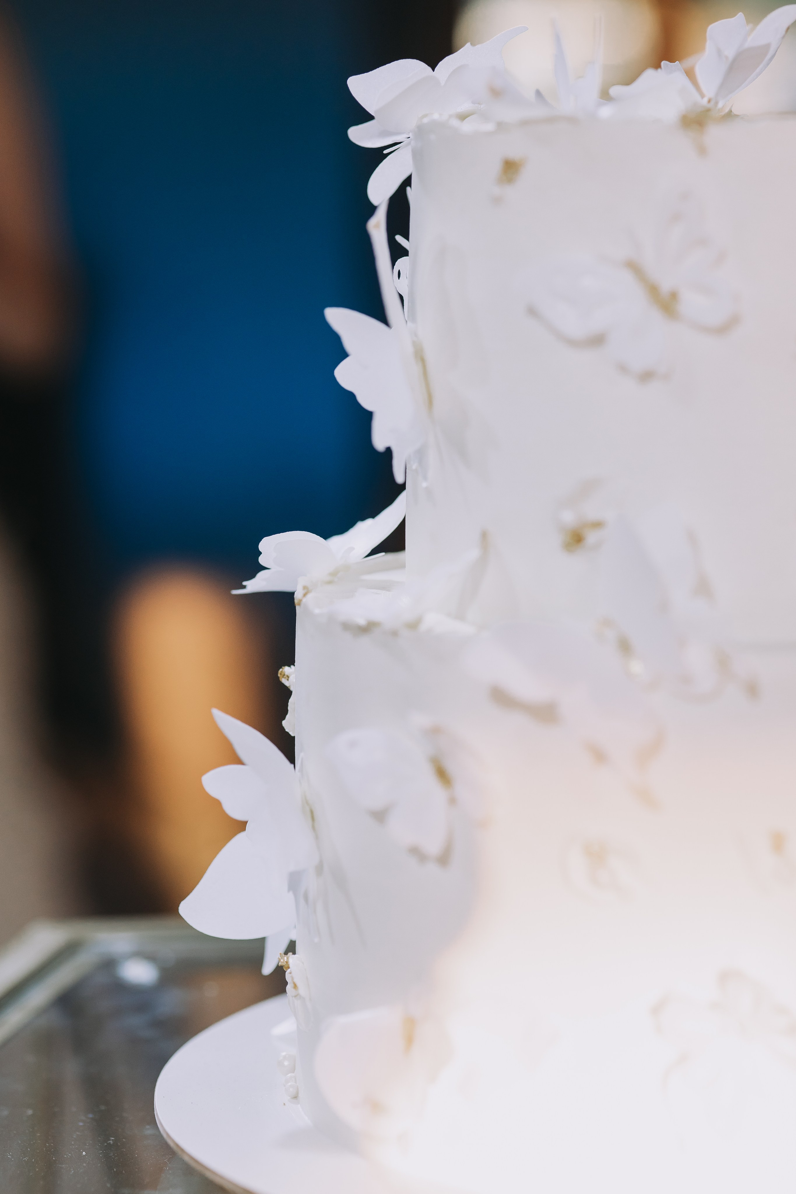 София и Петр. Репортажный фотограф Анастасия Головко