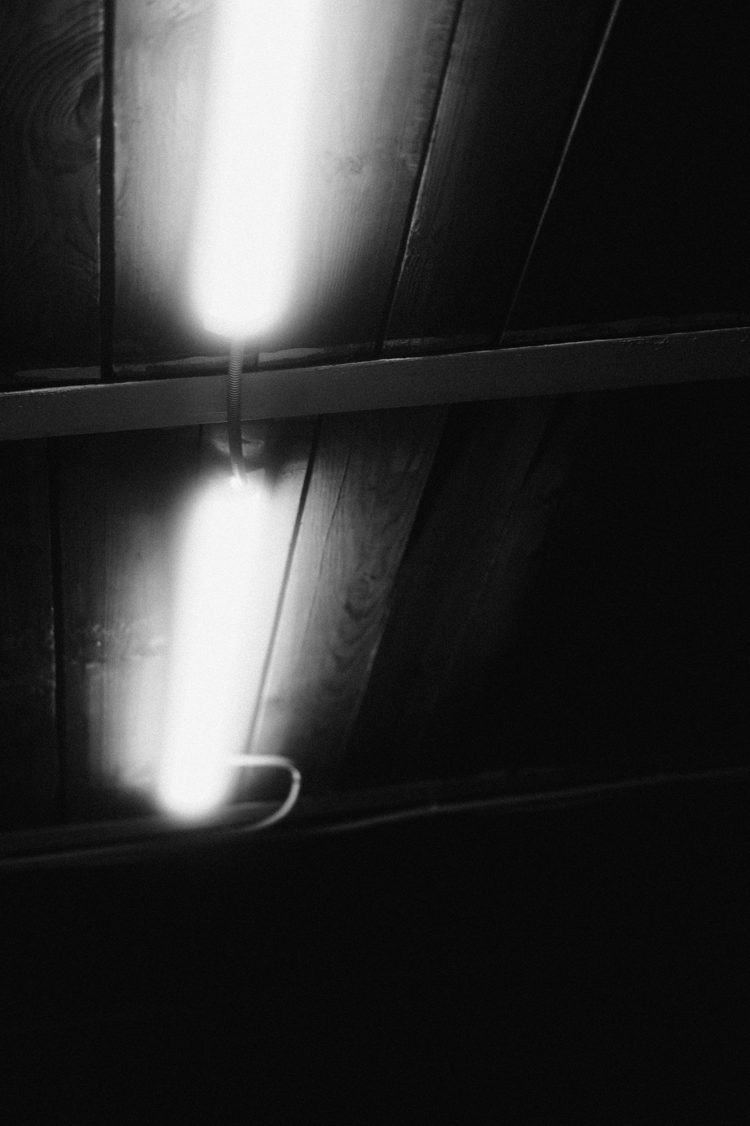 ZEN. Veronika Popadeikina Photographer