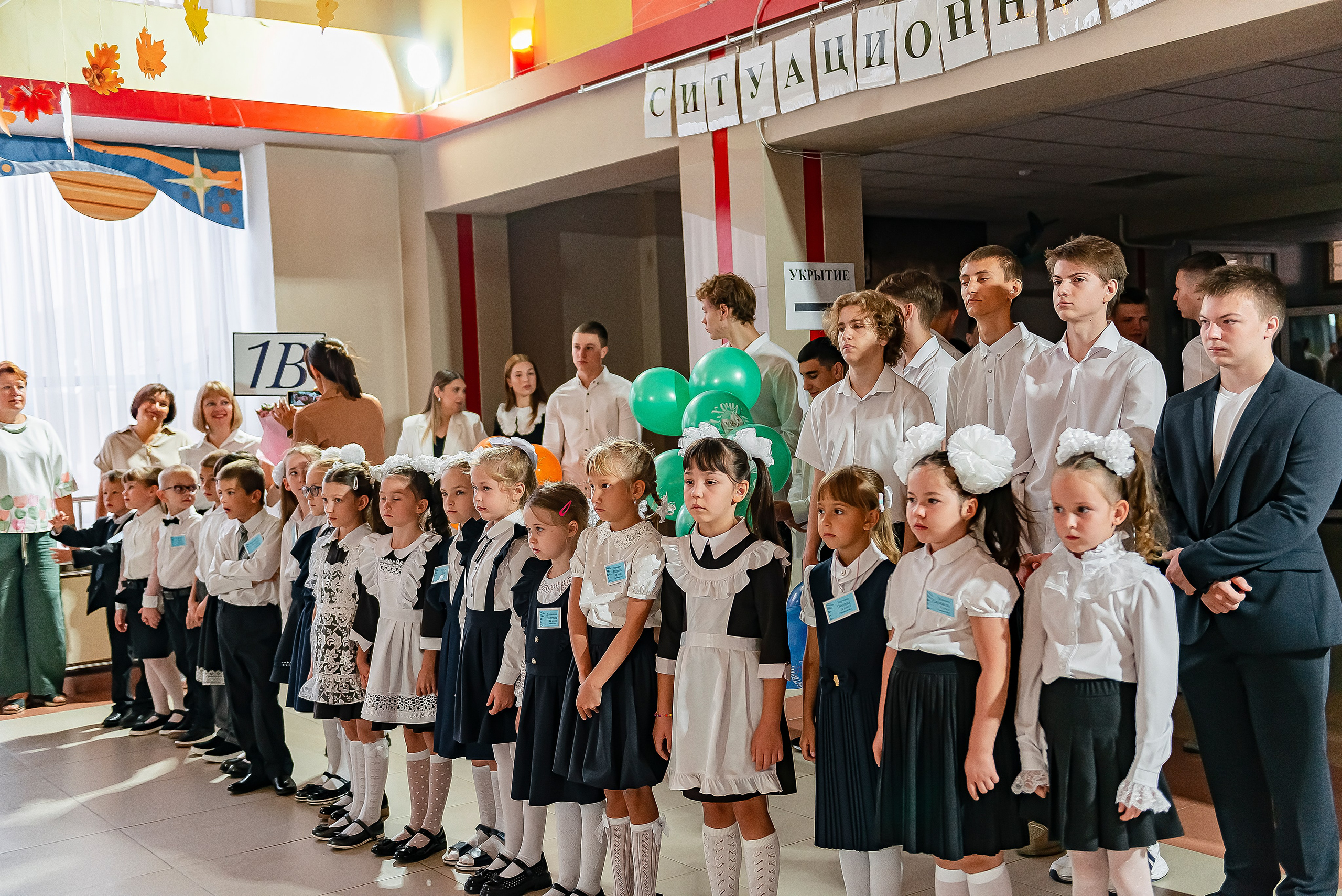 1 «В» | Гимназия № 3| г. Белгород |2024. ALBUMIA