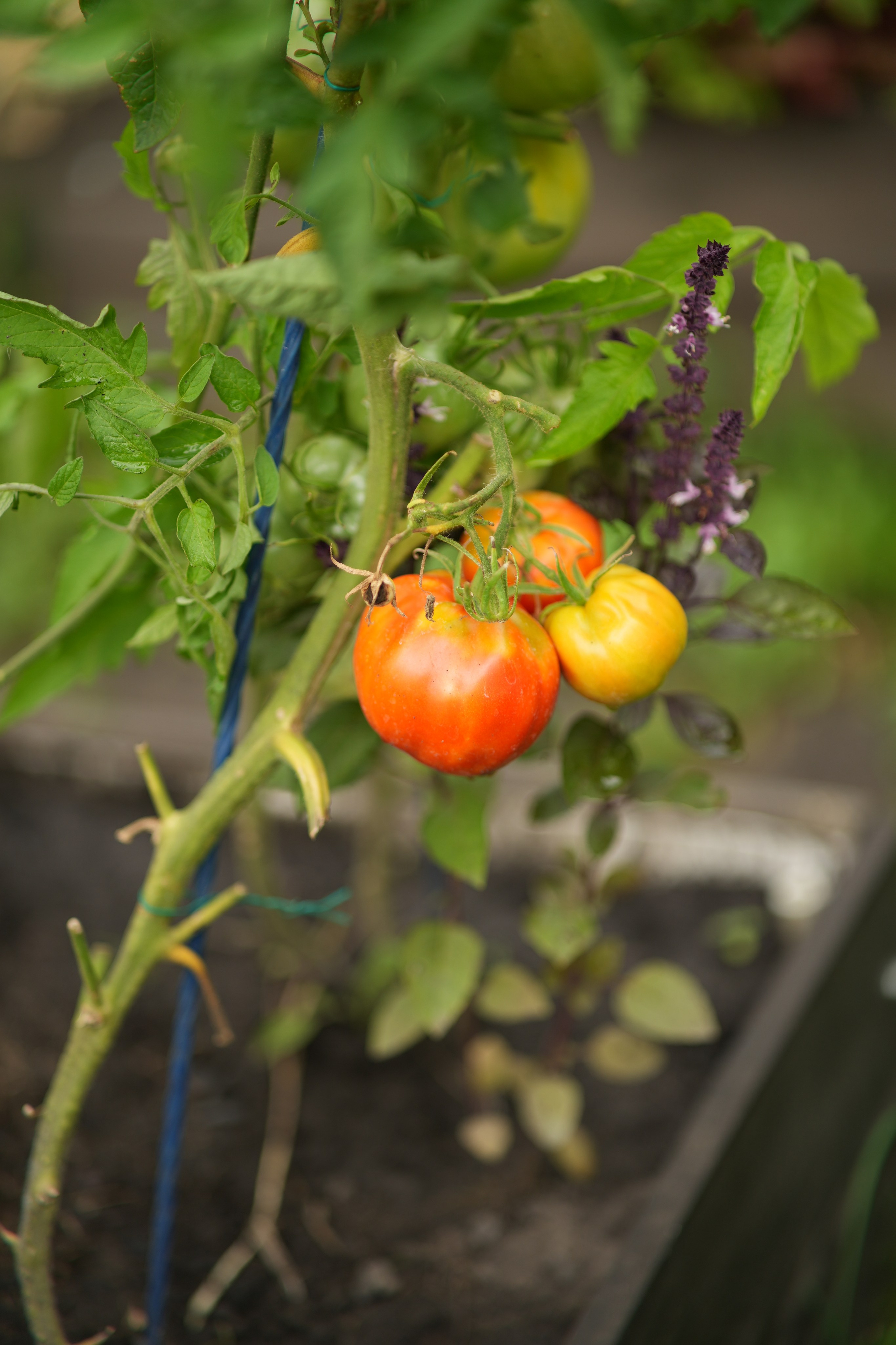 Час 1500 пример фотосессии пакет «ФОТО НА ПАМЯТЬ» (без обработки). Фотограф Нижний Новгород Татьяна Кэйод