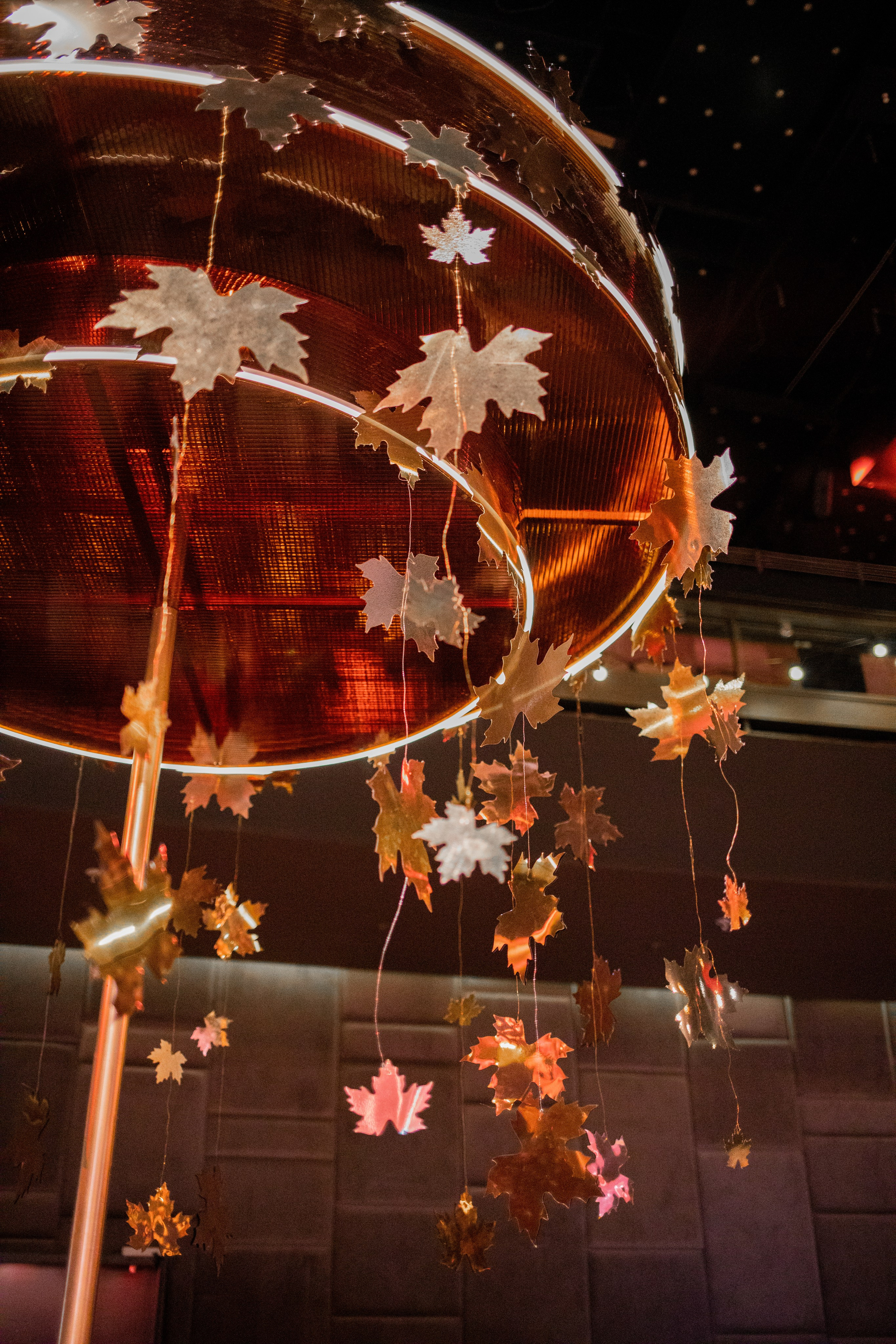 Адвокаты награждение. Семейный и детский фотограф в Москве Кузьмина Мария