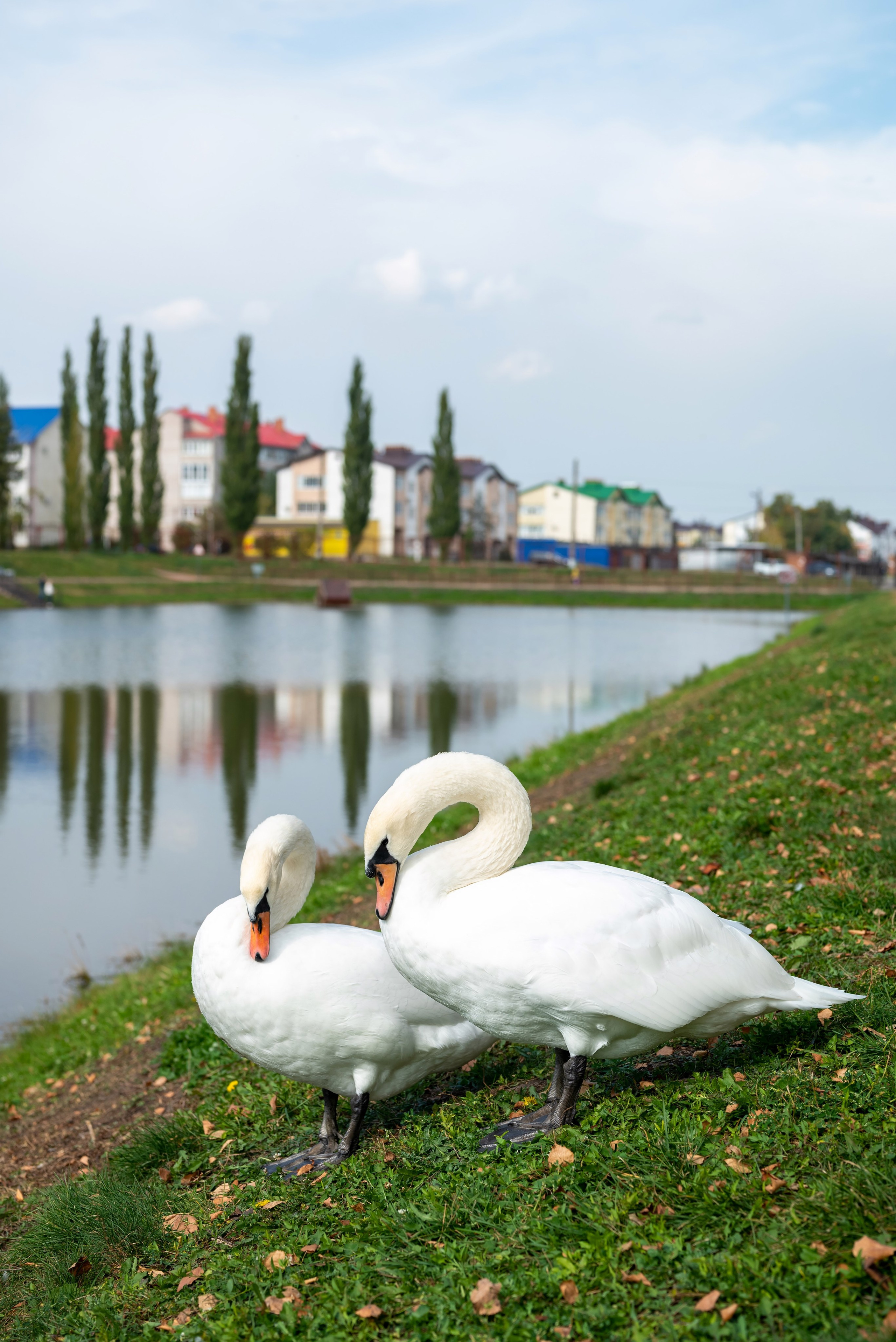 Эдуард и Ирина. Фотограф в городе Салават