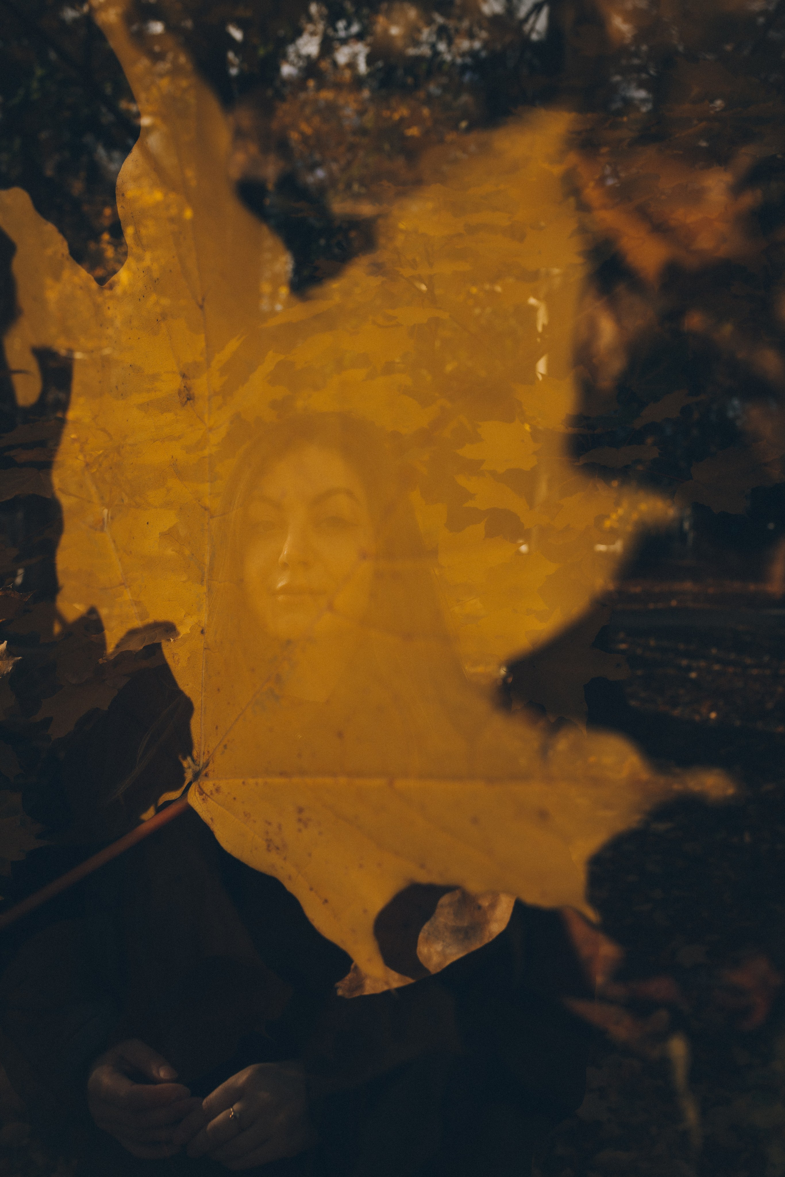 Екатерина. Фотограф Зеленоградск Красильникова Елена