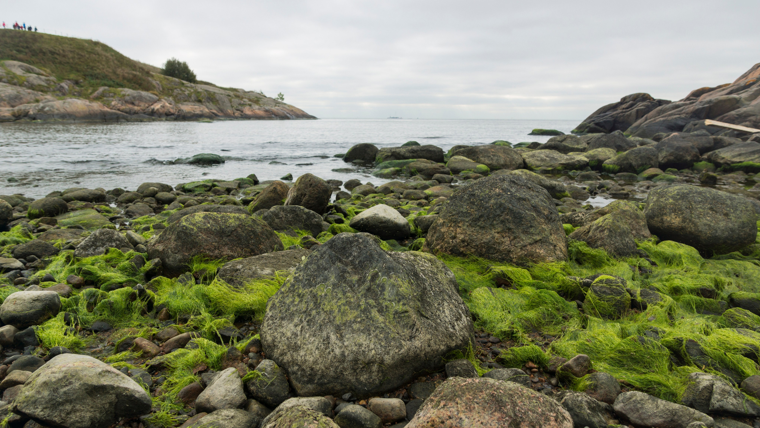 Хельсинки. Фотограф-путешественник Самойлов Максим «Sly Fox»
