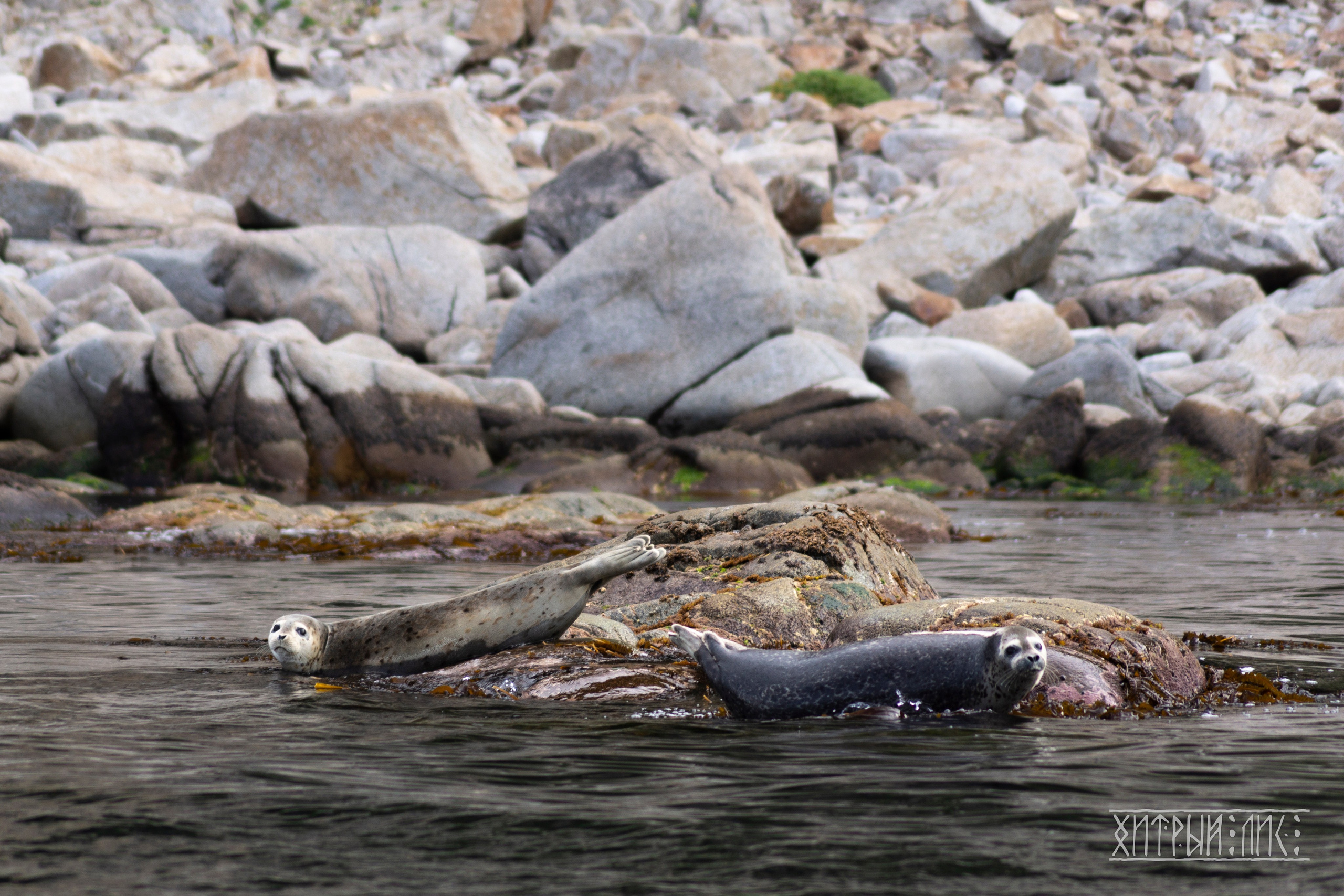 Сахалин. Фотограф-путешественник Самойлов Максим «Sly Fox»