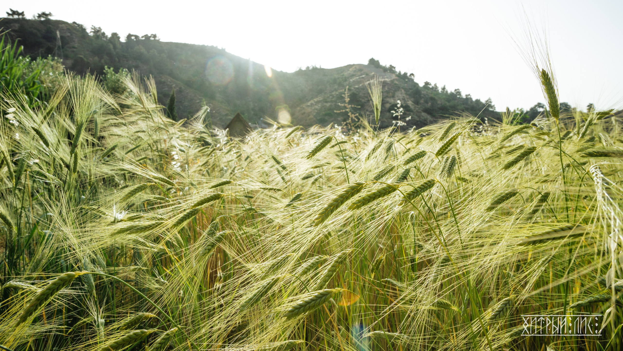 Кипр. Фотограф-путешественник Самойлов Максим «Sly Fox»